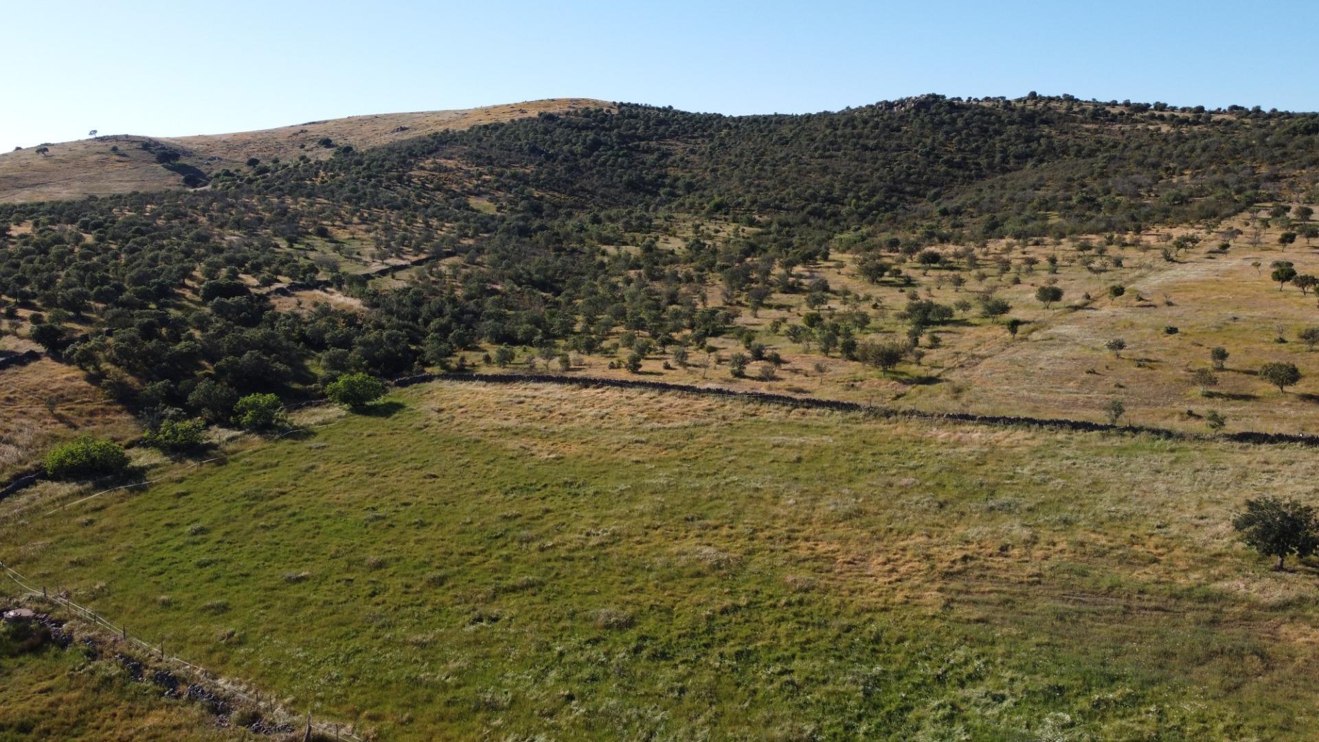 Pisos-Venta-Puebla de GuzmÃ¡n-2240144-Foto-51