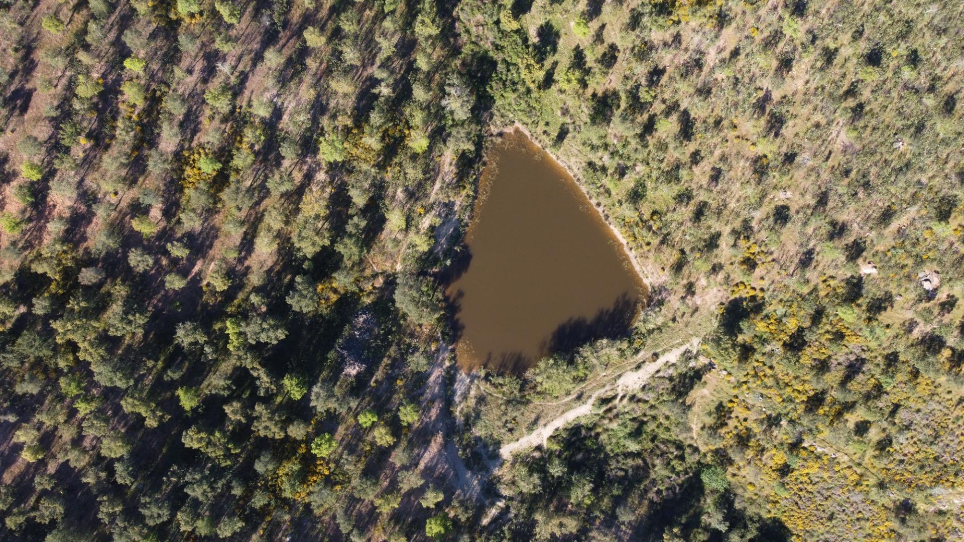Pisos-Venta-Puebla de GuzmÃ¡n-2240144-Foto-53