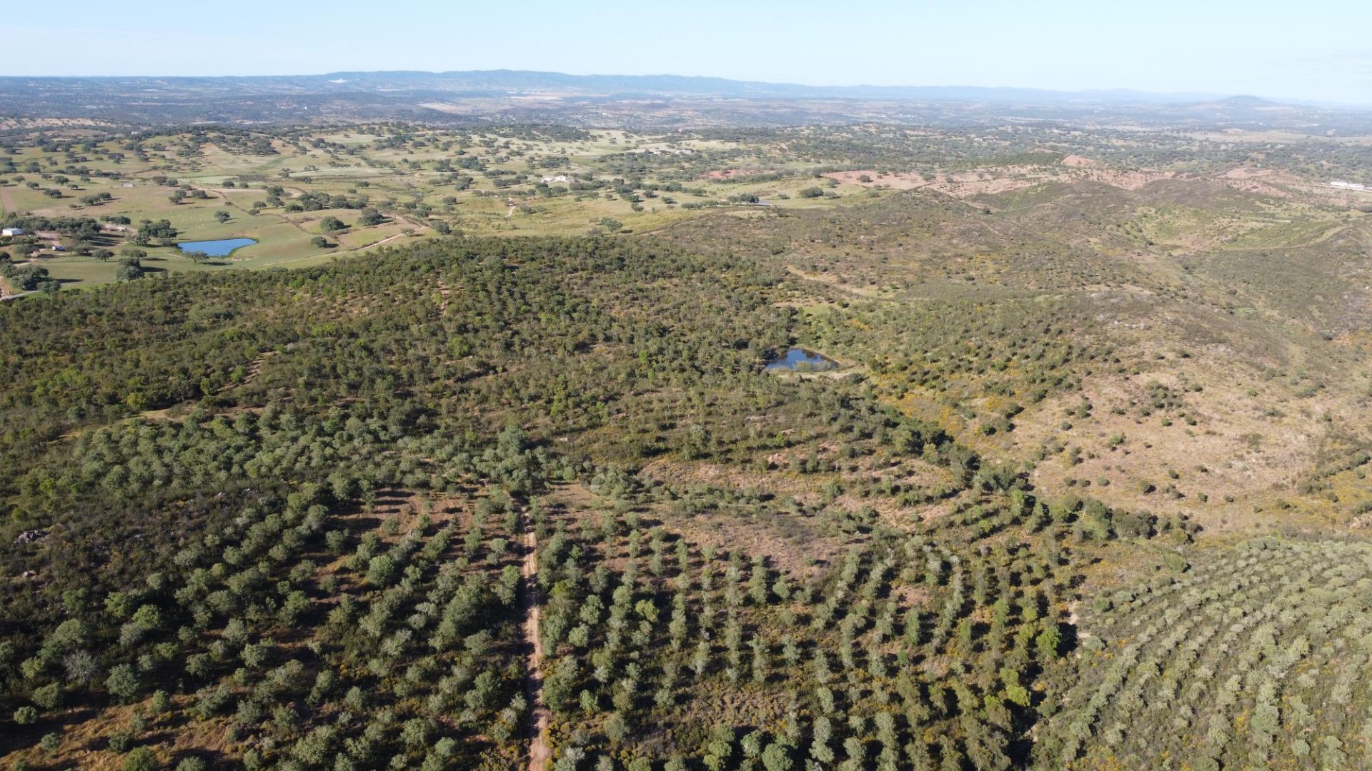 Pisos-Venta-Puebla de GuzmÃ¡n-2240144-Foto-54