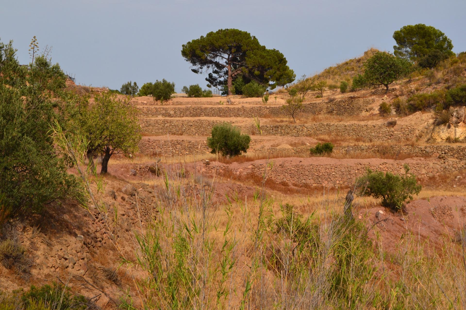 Pisos-Alquiler-Lorca-2107155-Foto-3
