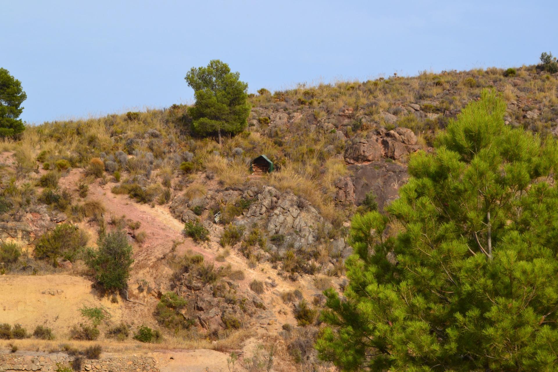 Pisos-Alquiler-Lorca-2107155-Foto-4