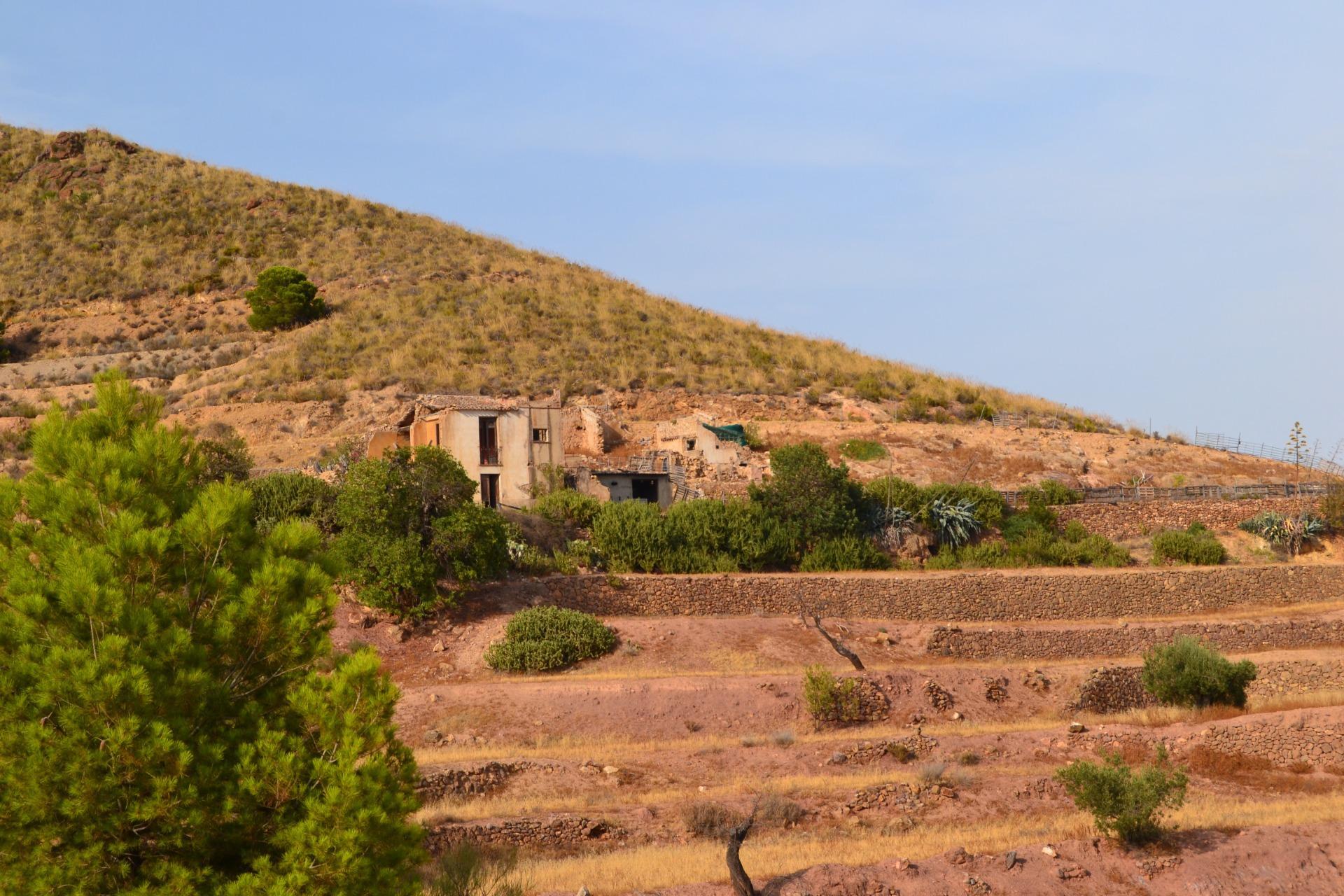 Pisos-Alquiler-Lorca-2107155-Foto-5