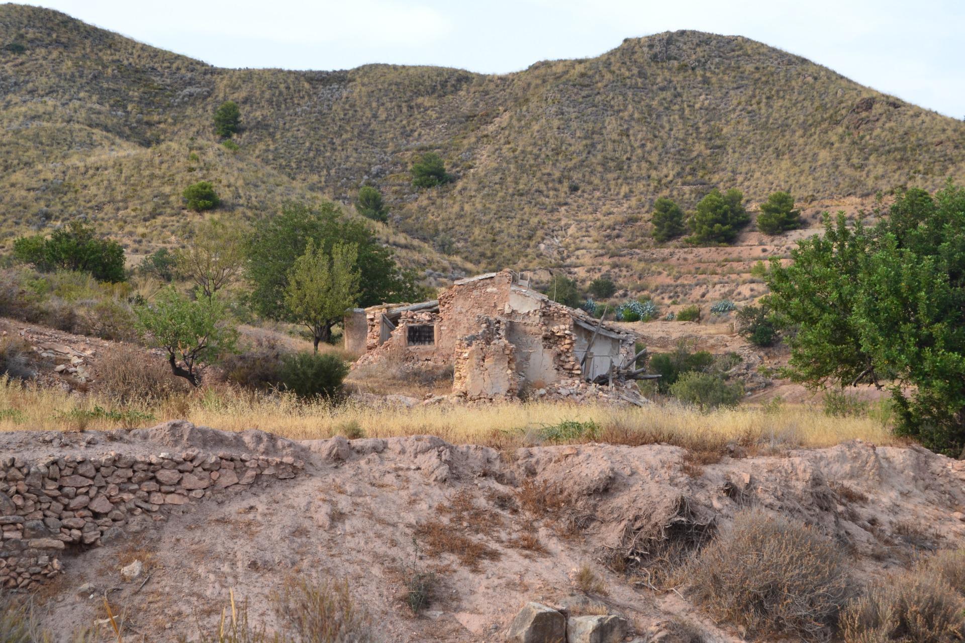 Pisos-Alquiler-Lorca-2107155-Foto-6