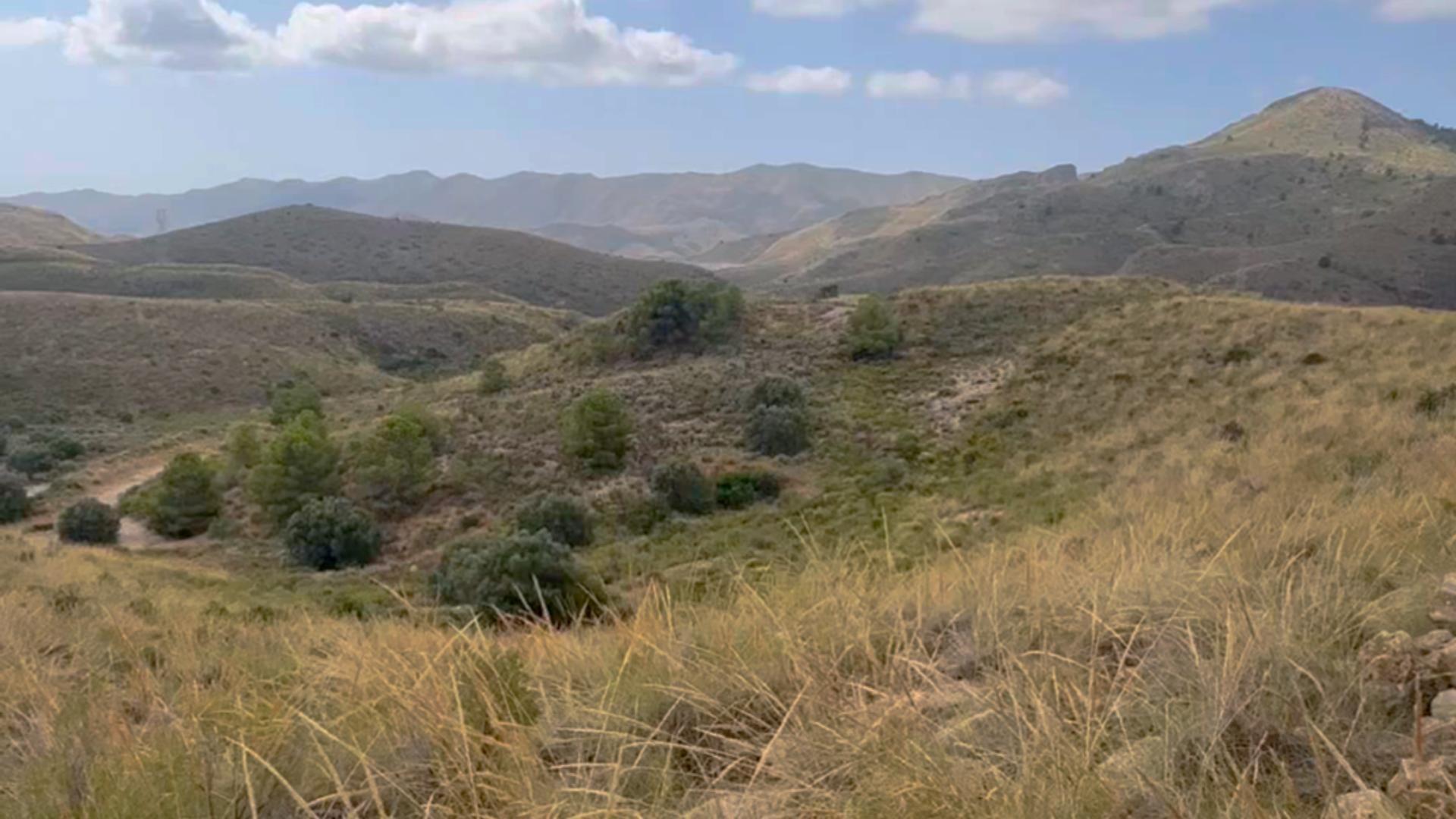 Pisos-Alquiler-Lorca-2107155-Foto-10