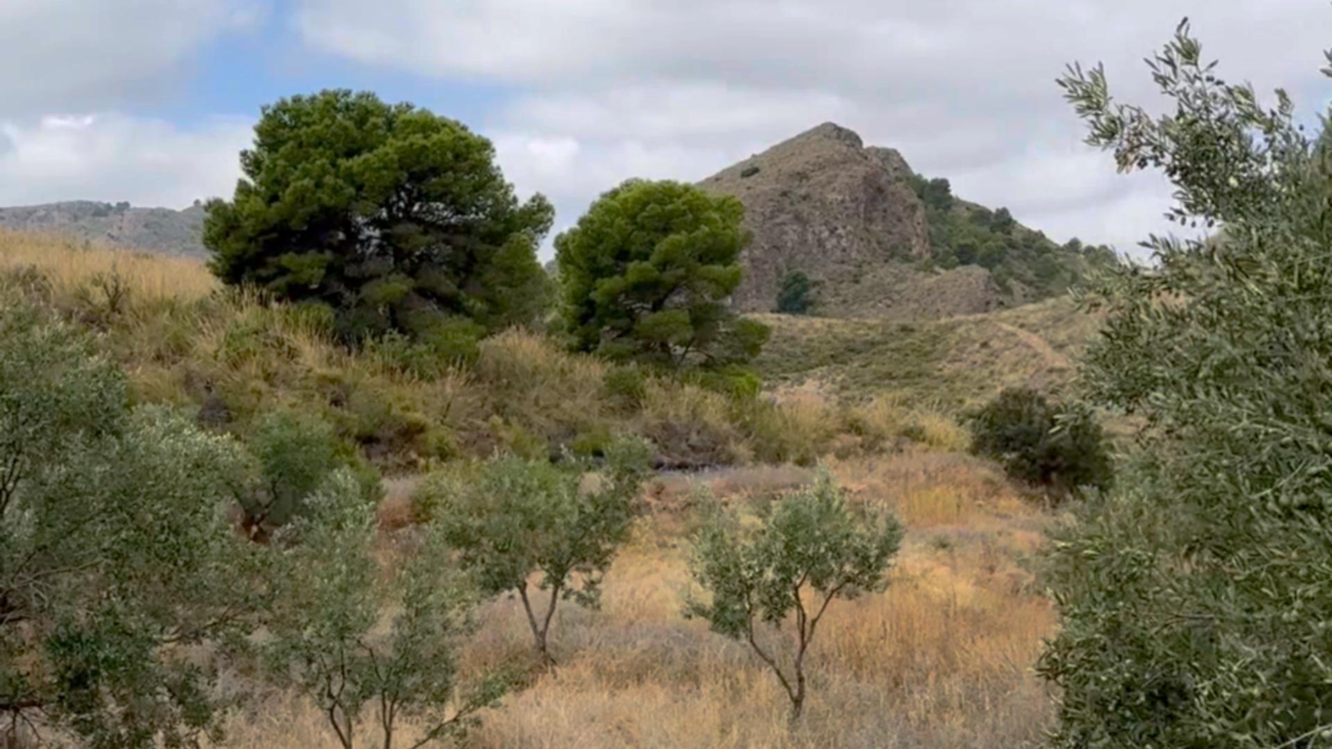 Pisos-Alquiler-Lorca-2107155-Foto-17