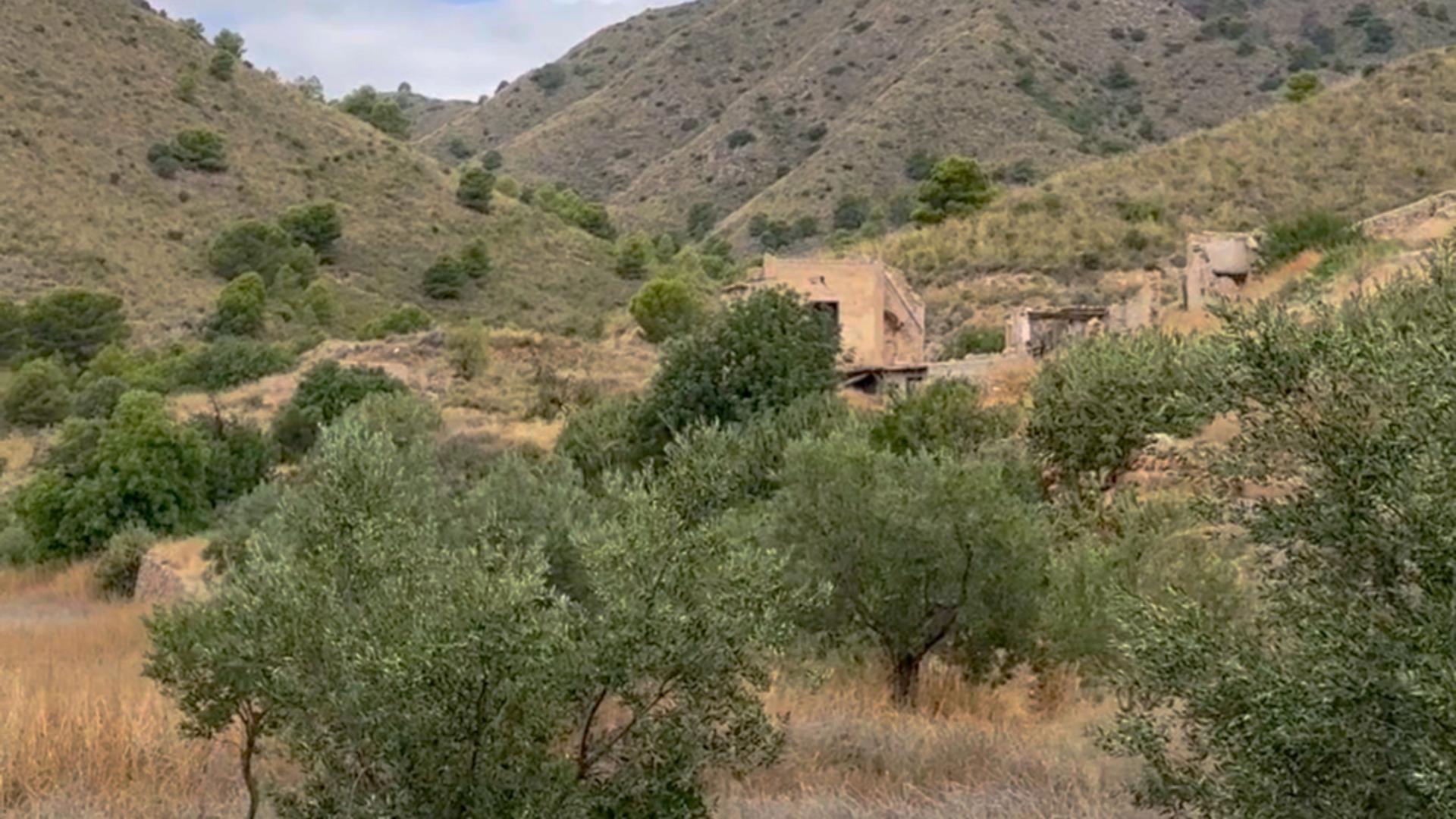 Pisos-Alquiler-Lorca-2107155-Foto-18