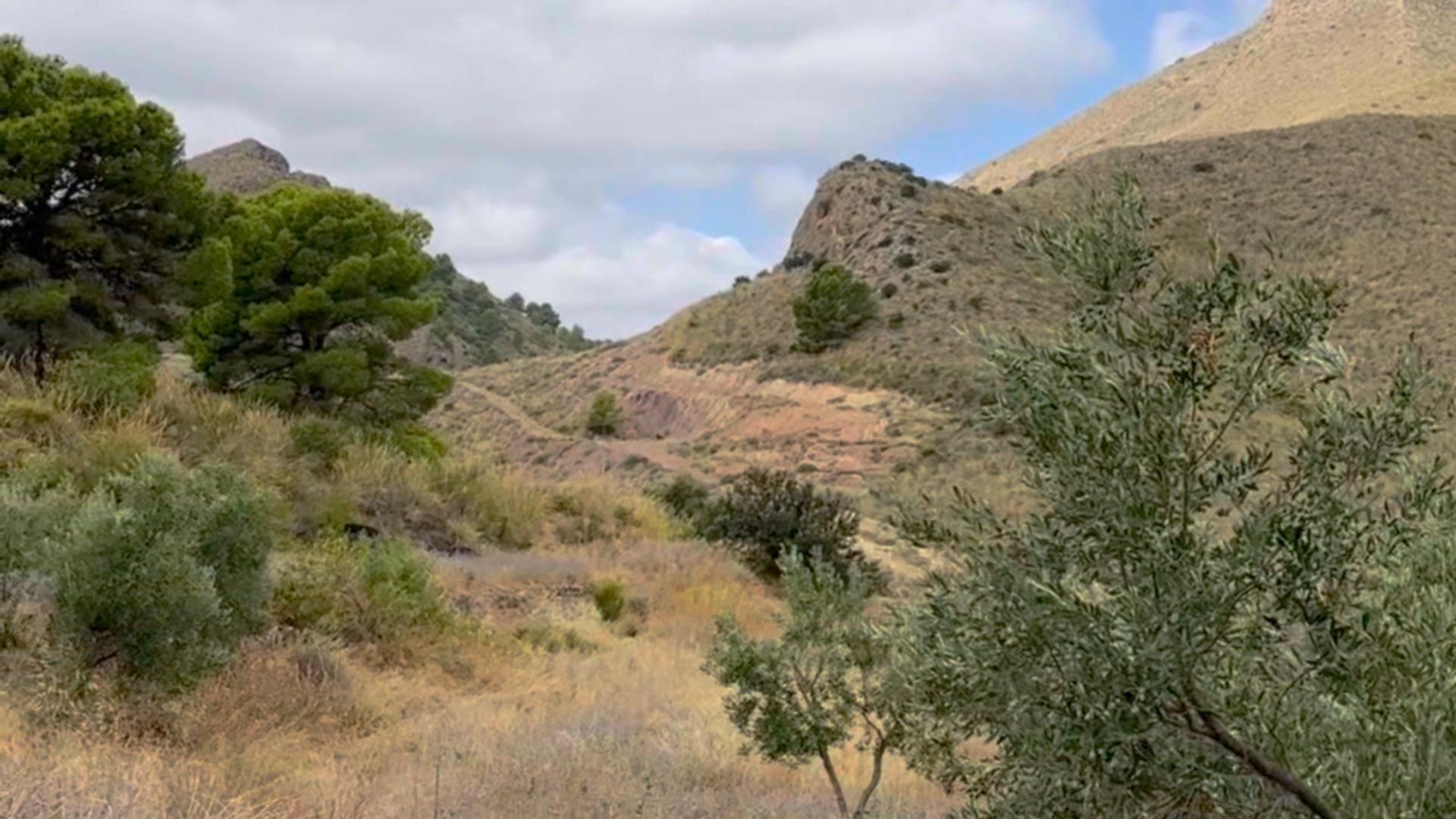 Pisos-Alquiler-Lorca-2107155-Foto-20