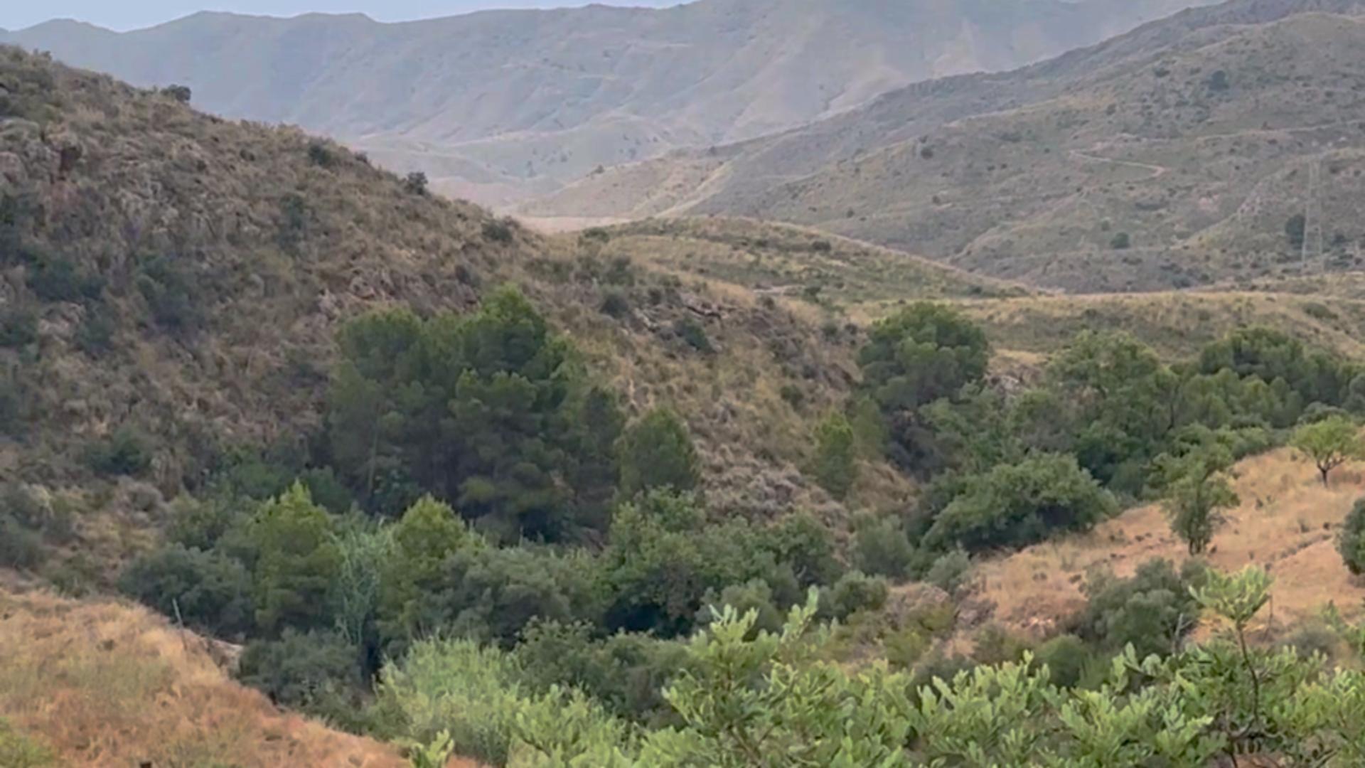Pisos-Alquiler-Lorca-2107155-Foto-29