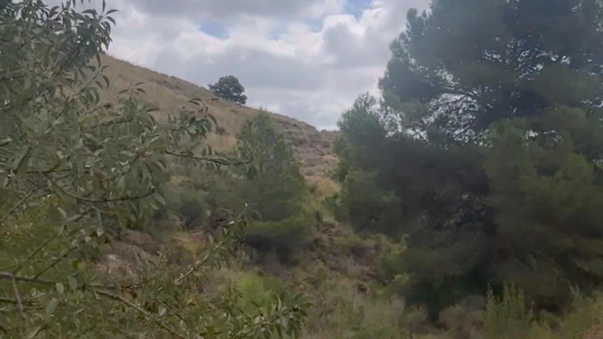 Pisos-Alquiler-Lorca-2107155-Foto-34