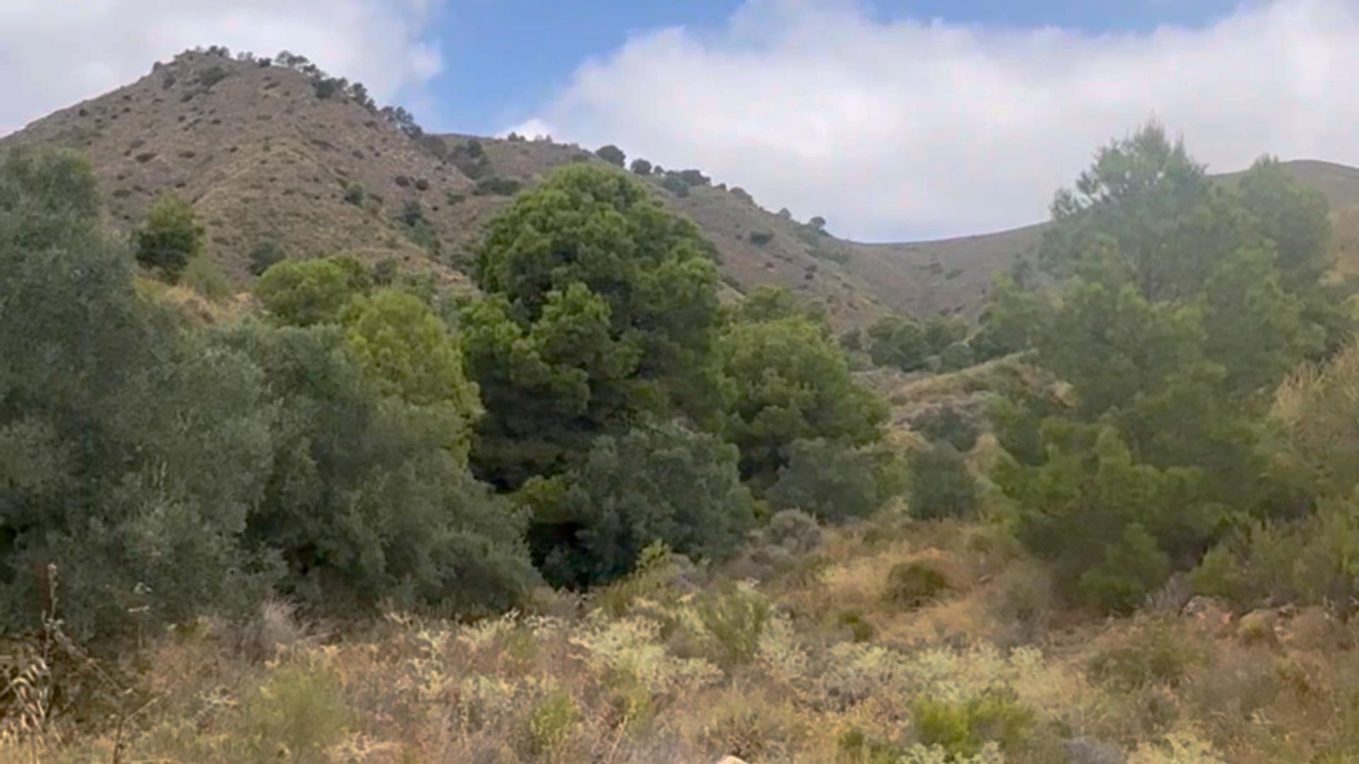 Pisos-Alquiler-Lorca-2107155-Foto-33