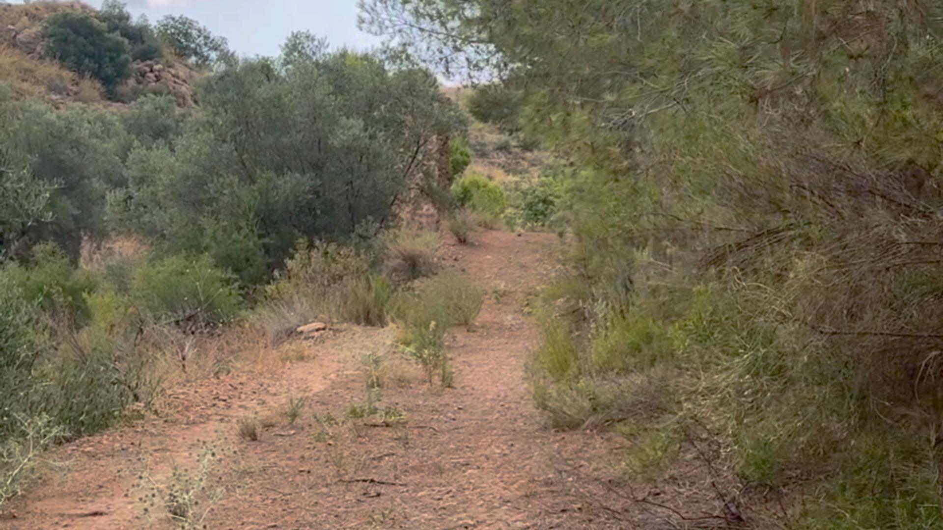 Pisos-Alquiler-Lorca-2107155-Foto-37