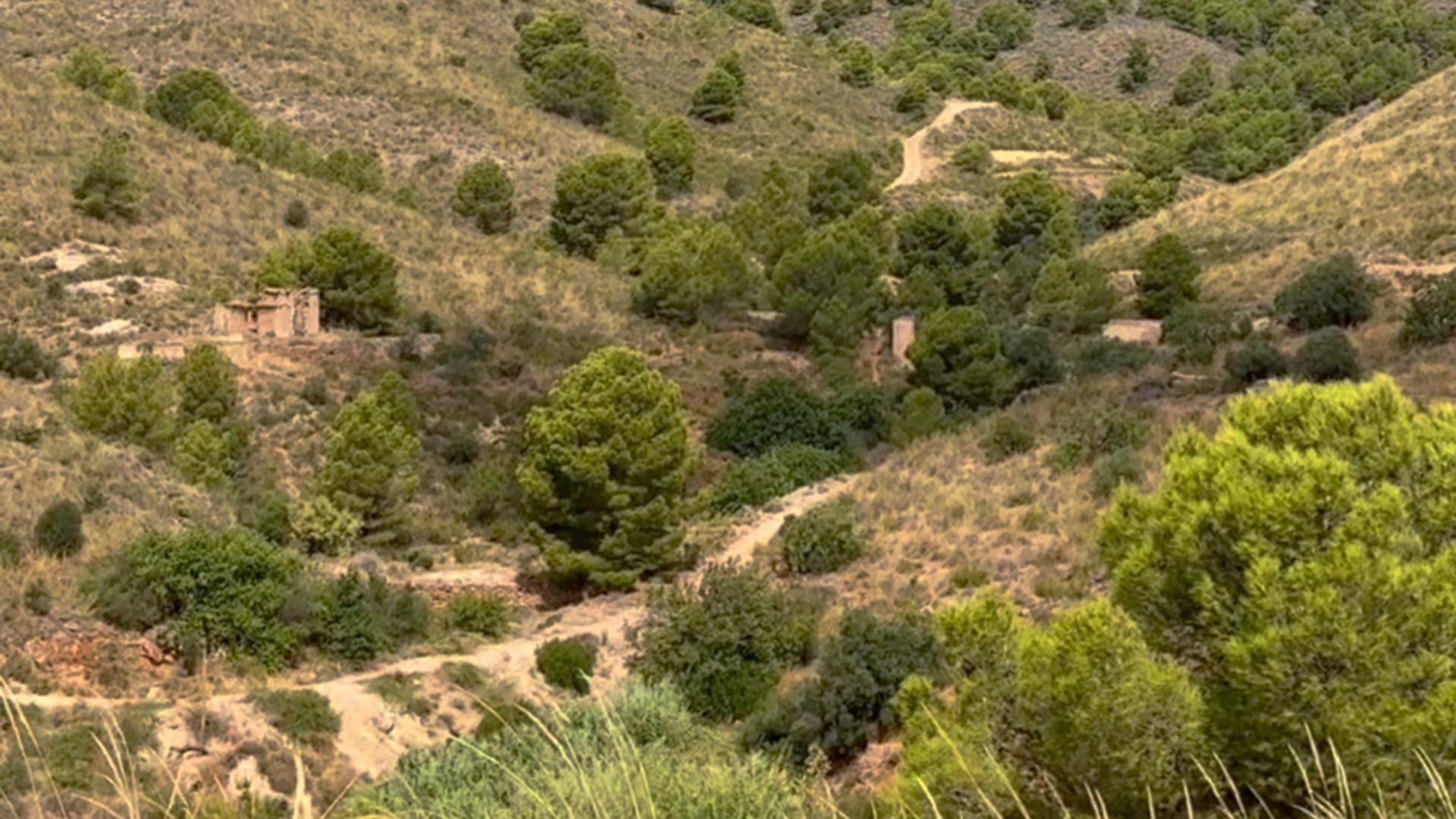 Pisos-Alquiler-Lorca-2107155-Foto-43