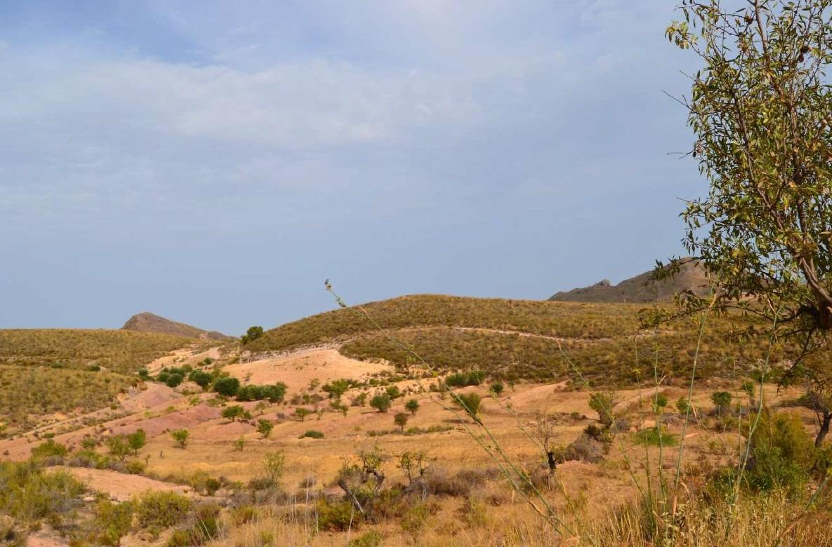 Pisos-Alquiler-Lorca-2107155-Foto-57