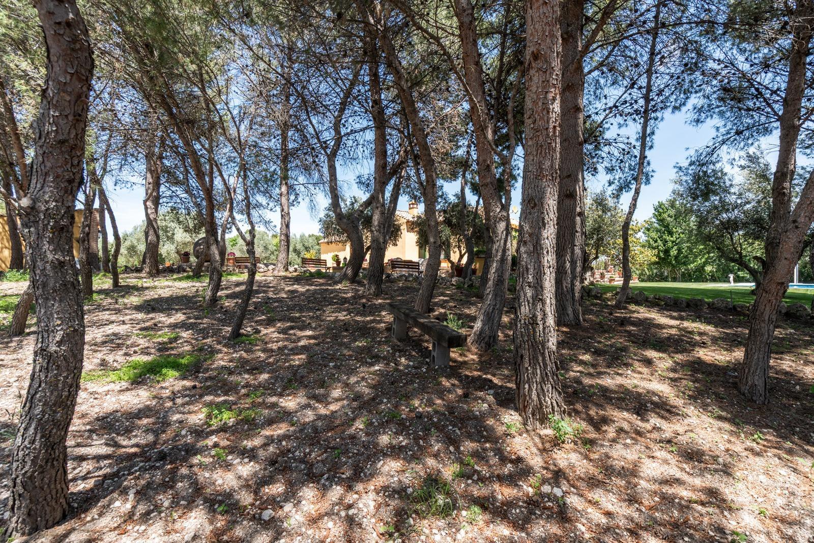 Pisos-Venta-ChinchÃ³n-1734244-Foto-72