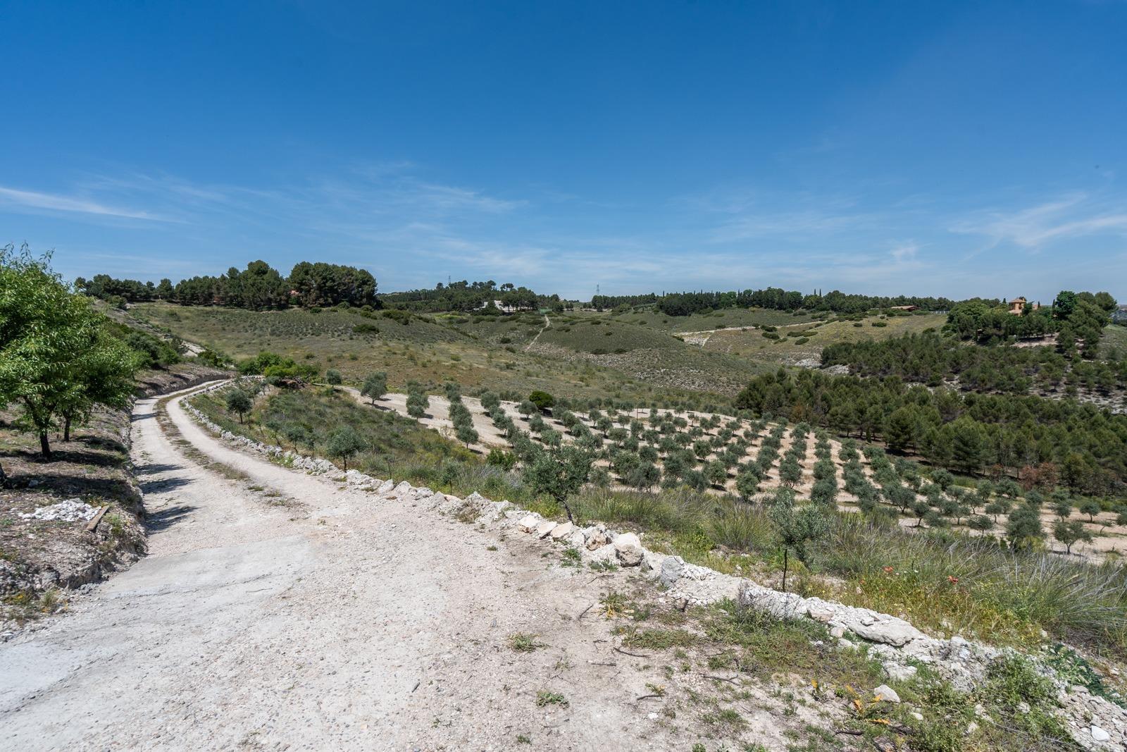 Pisos-Venta-ChinchÃ³n-1734244-Foto-74