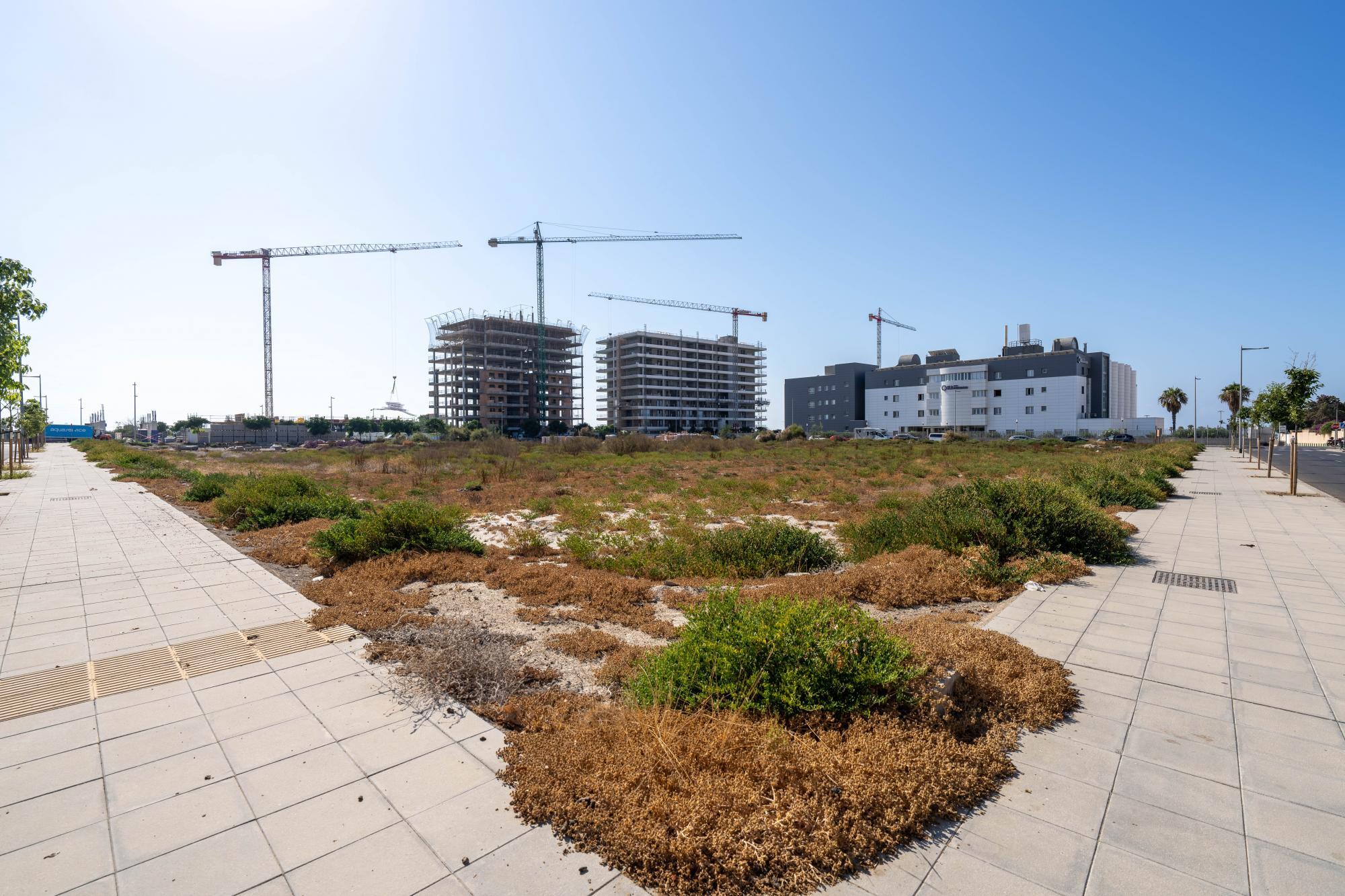 Pisos-Venta-AlmerÃ­a-2420384-Foto-8