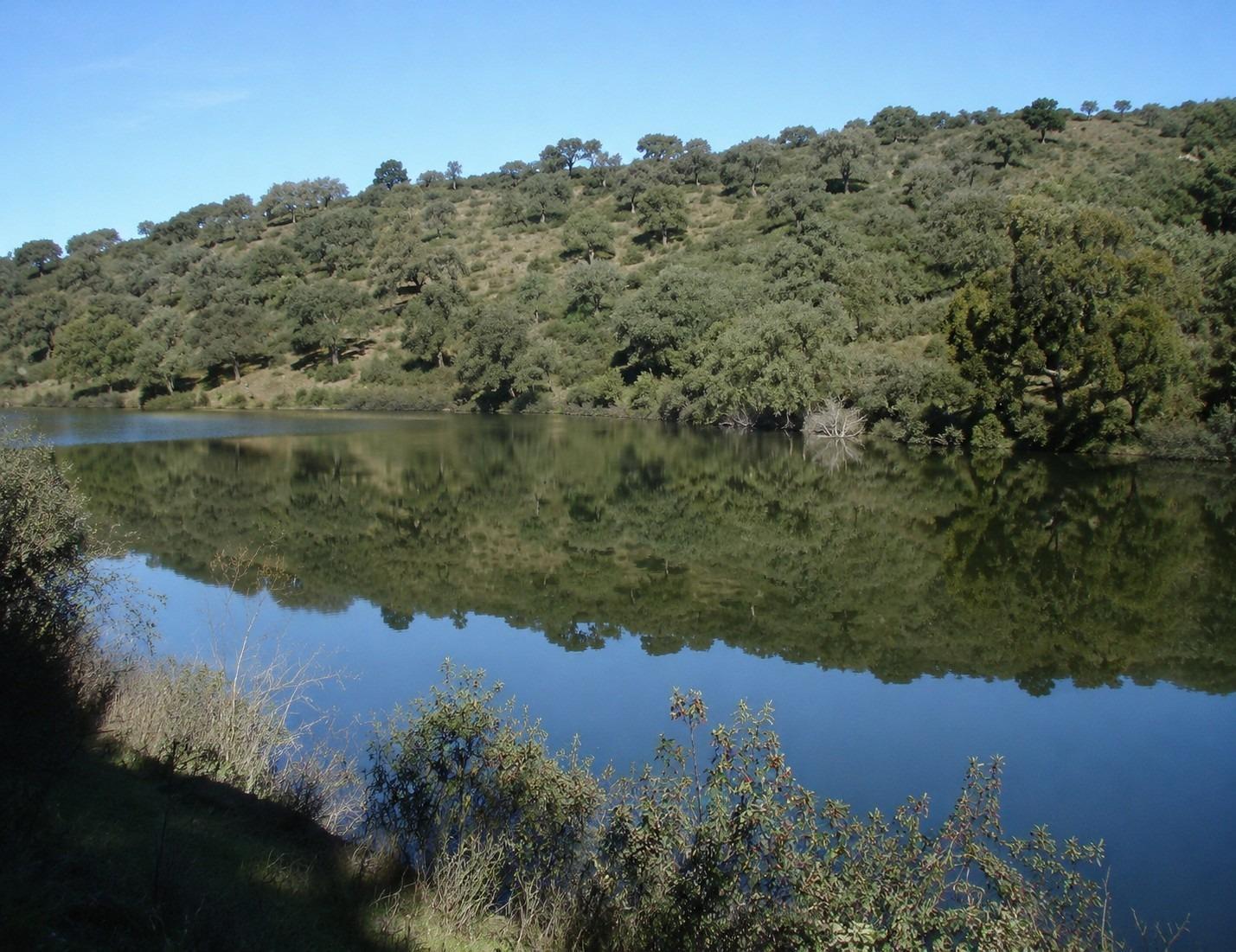 Pisos-Venta-AlmadÃ©n-2410935-Foto-7