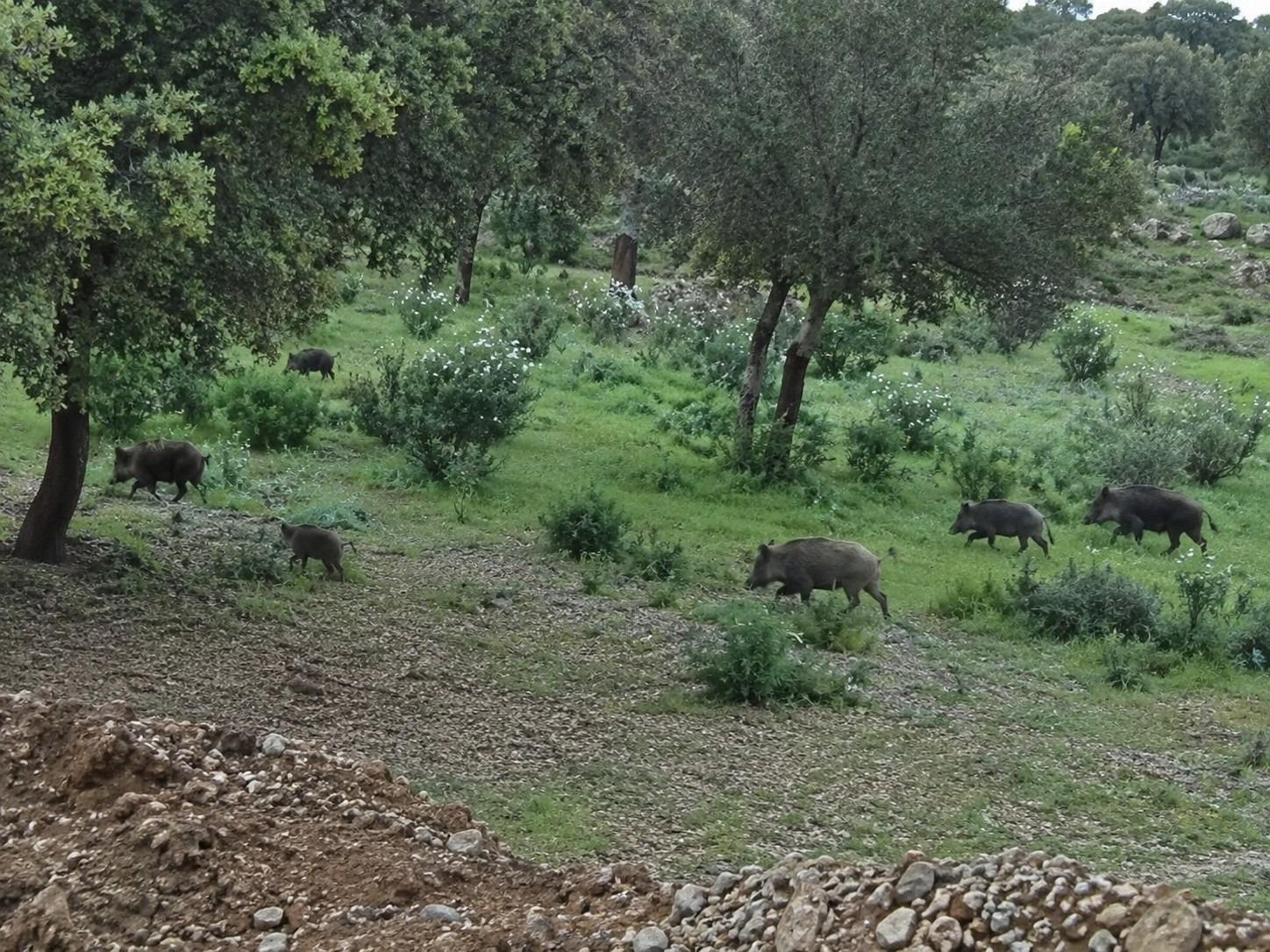 Pisos-Venta-AlmadÃ©n-2410935-Foto-10
