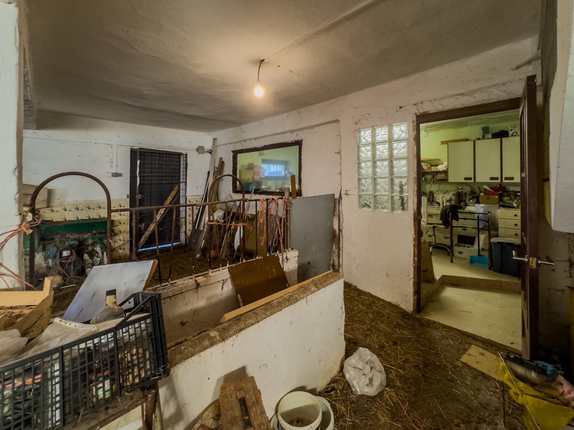Casas o chalets-Venta-PiÃ©lagos-1652937-Foto-19
