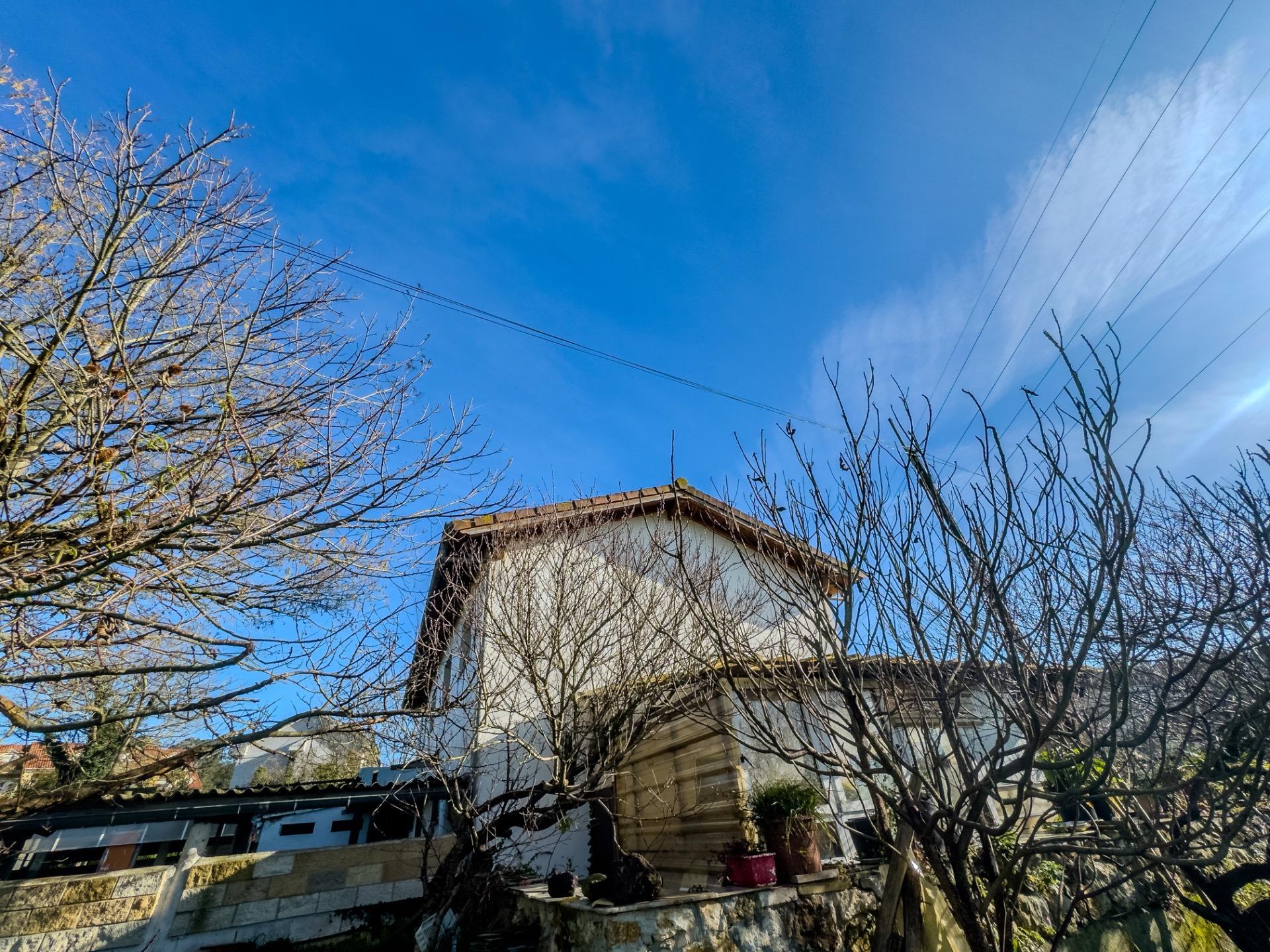 Casas o chalets-Venta-PiÃ©lagos-1652937-Foto-25