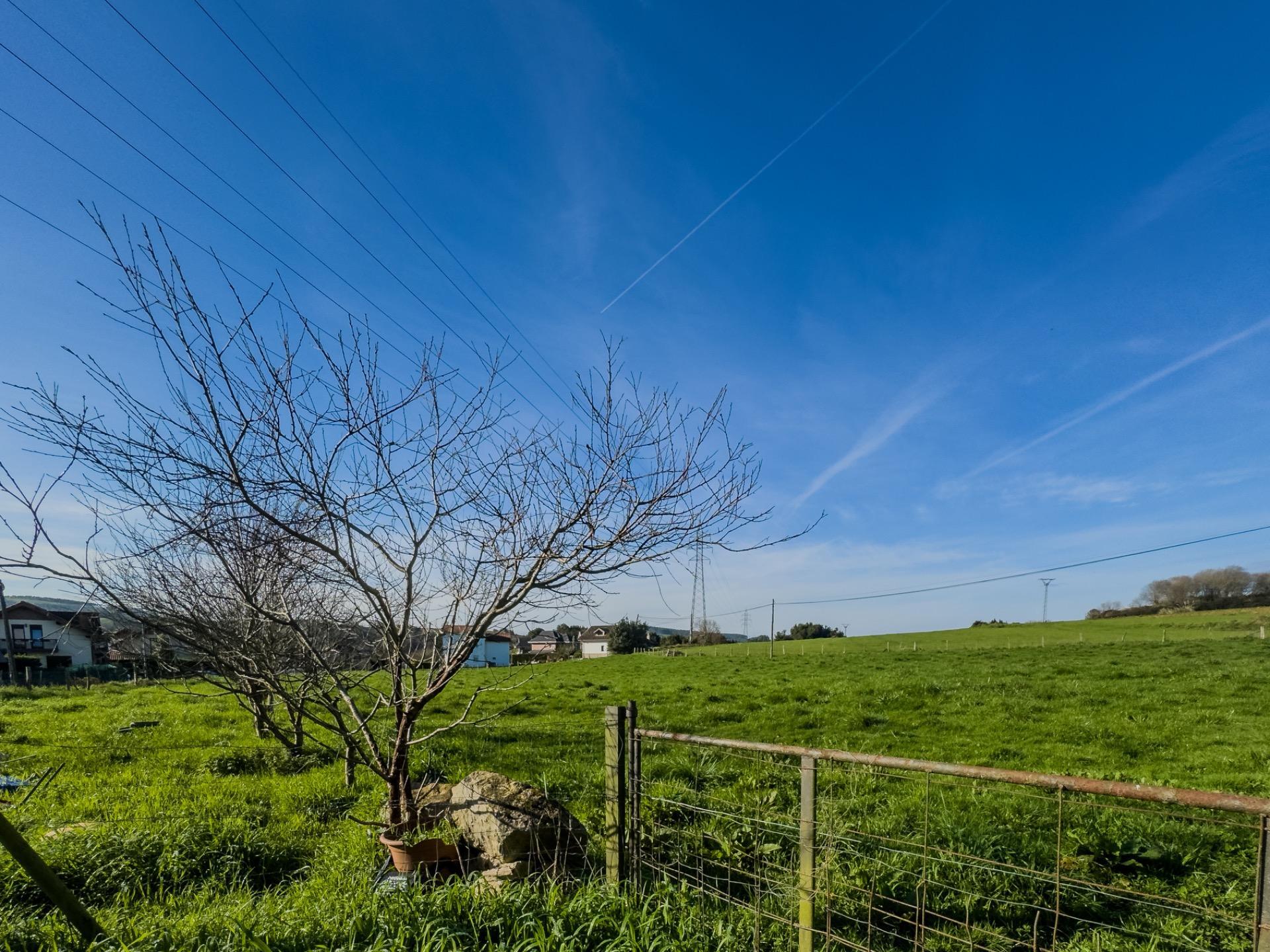 Casas o chalets-Venta-PiÃ©lagos-1652937-Foto-28