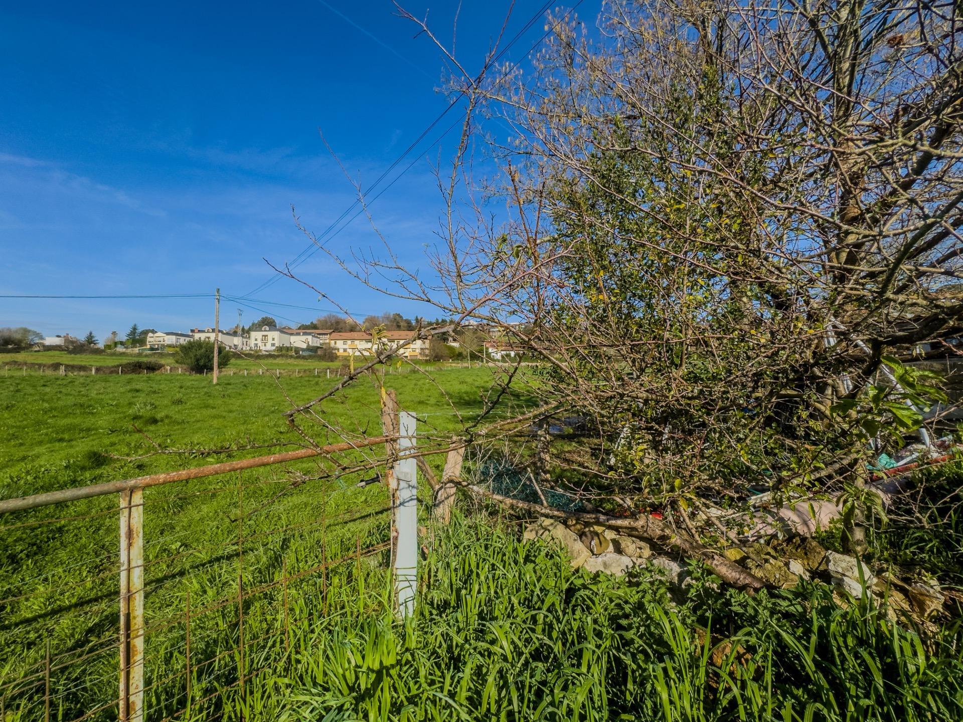 Casas o chalets-Venta-PiÃ©lagos-1652937-Foto-29
