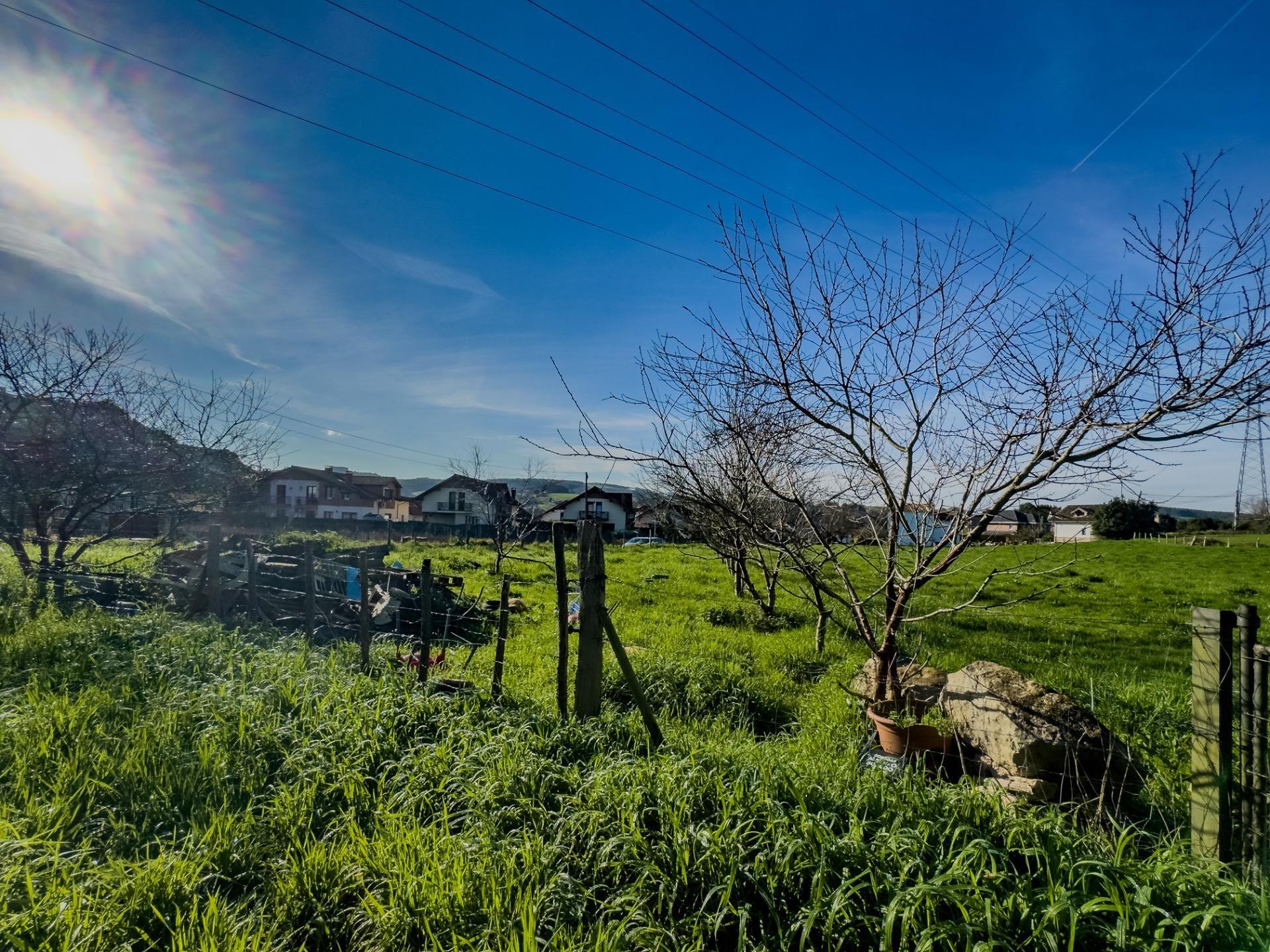 Casas o chalets-Venta-PiÃ©lagos-1652937-Foto-30