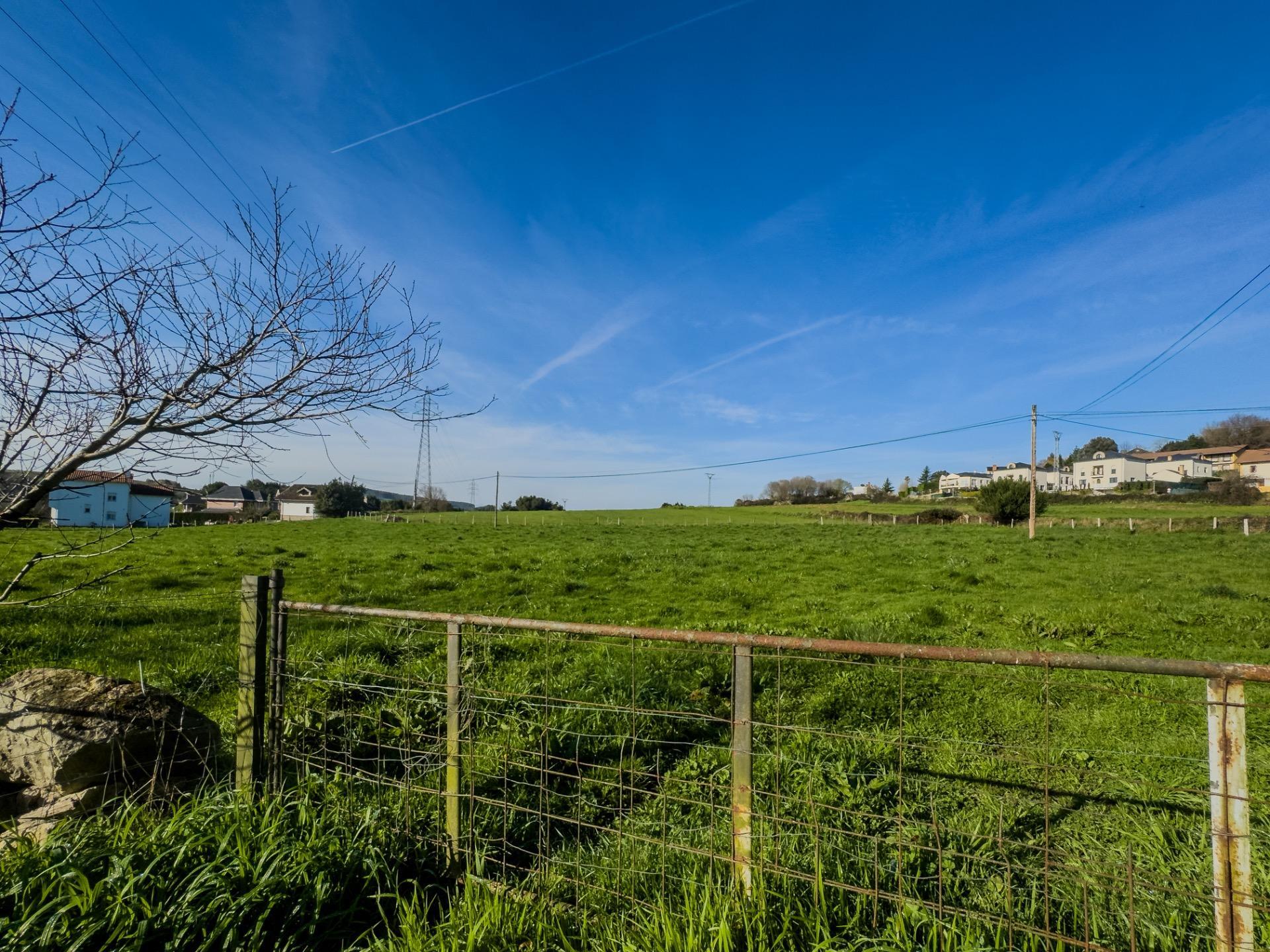 Casas o chalets-Venta-PiÃ©lagos-1652937-Foto-26