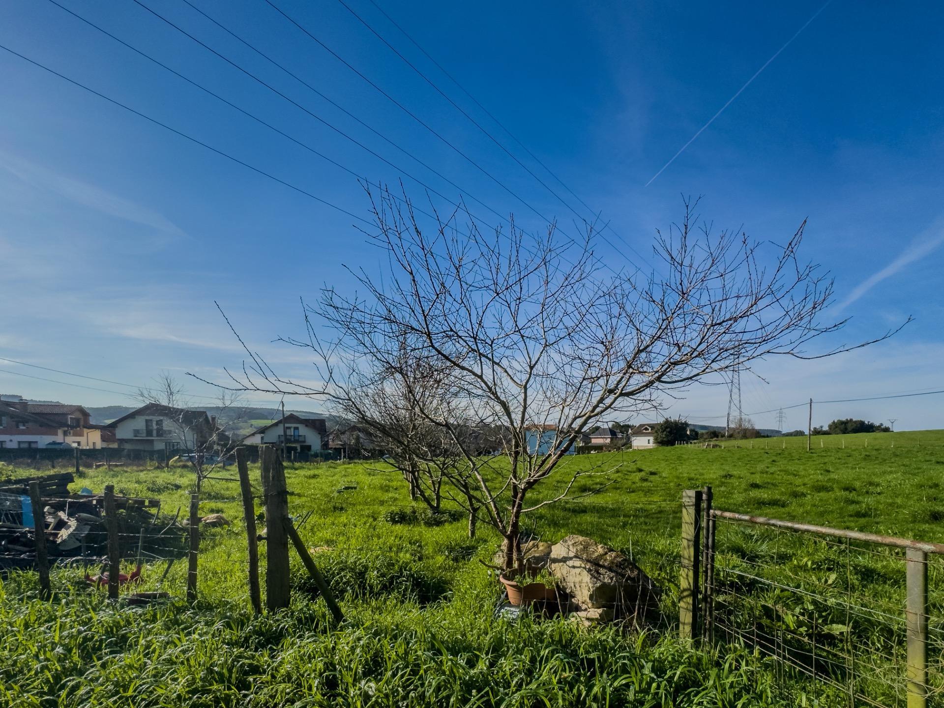 Casas o chalets-Venta-PiÃ©lagos-1652937-Foto-31