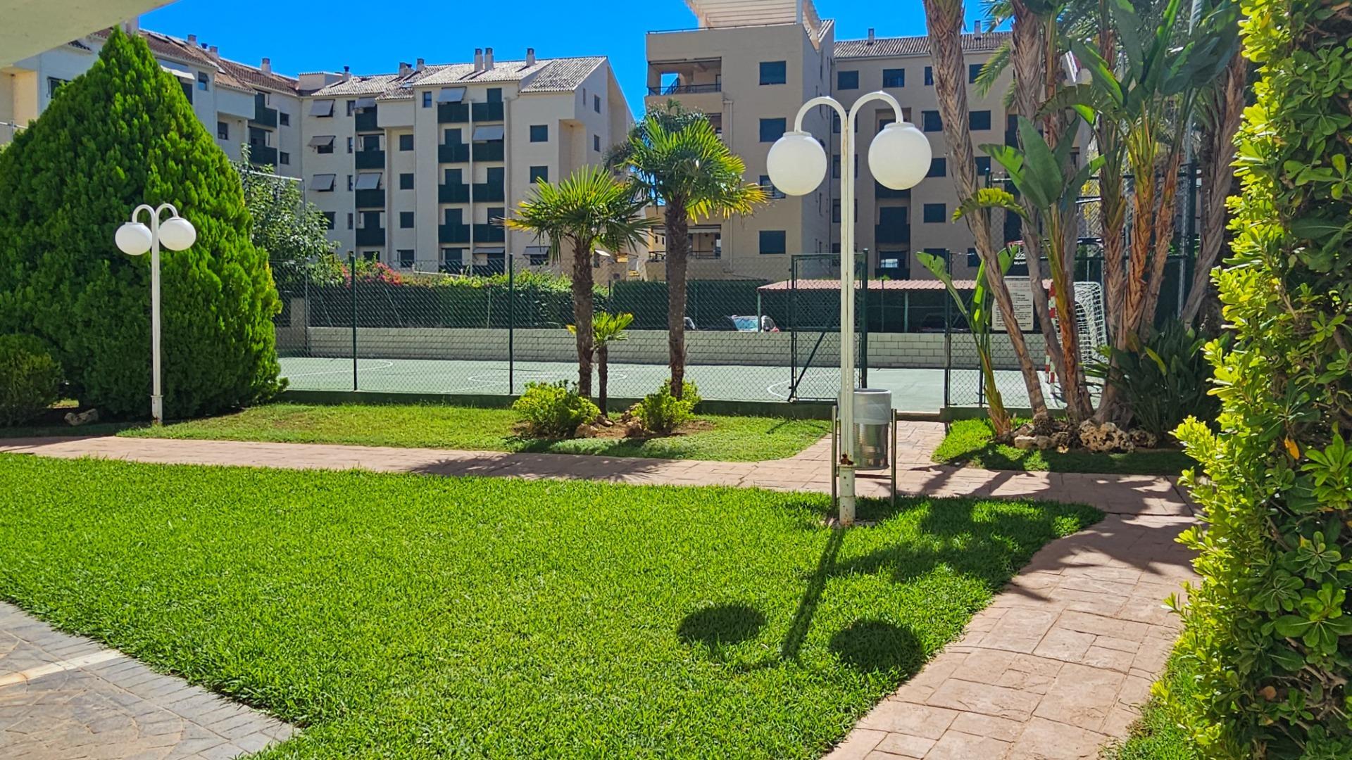 Pisos-Venta-Guardamar de la Safor-2420393-Foto-3