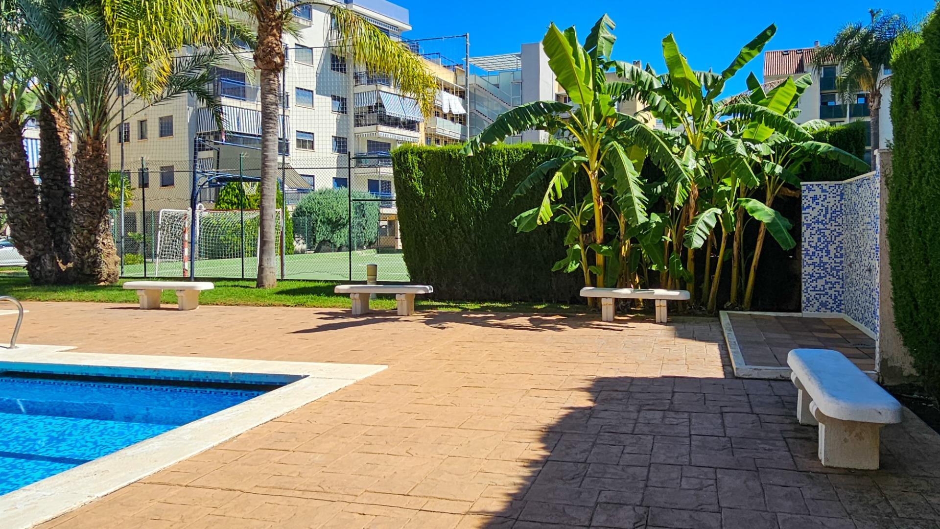 Pisos-Venta-Guardamar de la Safor-2420393-Foto-8