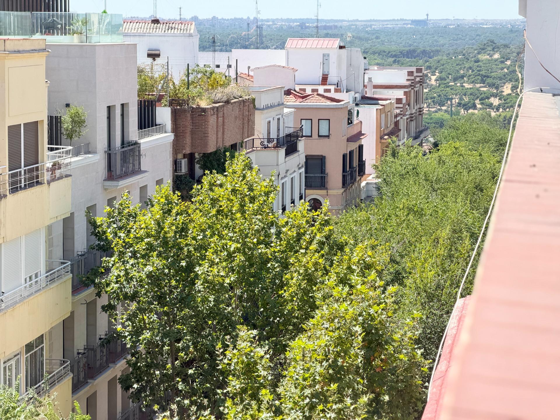 Pisos-Venta-Madrid-2410998-Foto-19