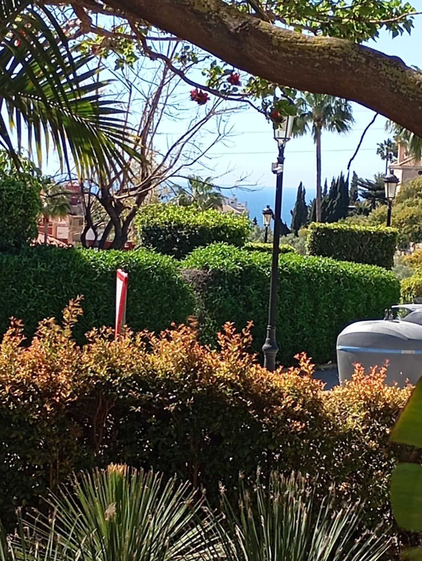 Pisos-Venta-Marbella-2242226-Foto-11