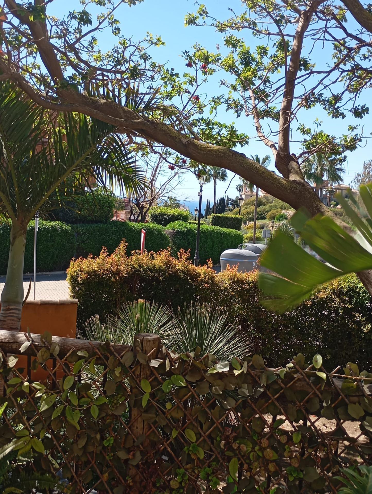 Pisos-Venta-Marbella-2242226-Foto-12