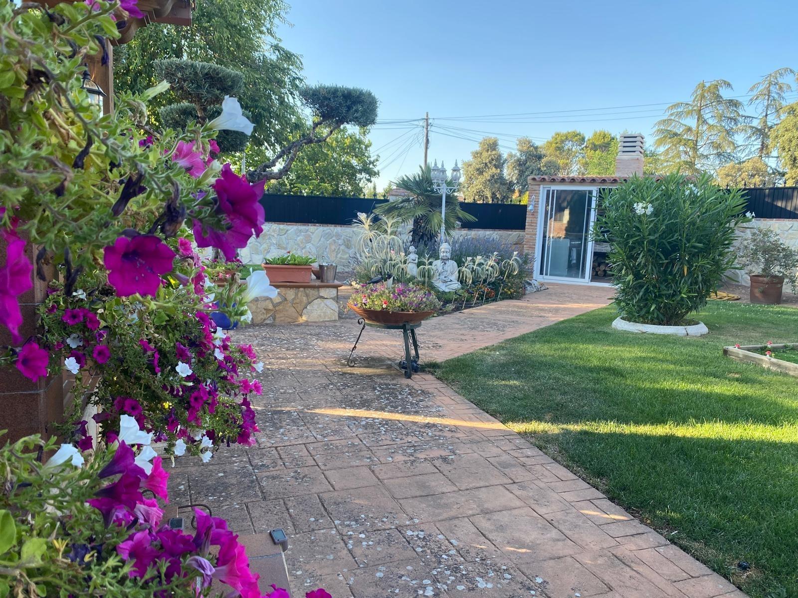 Casas o chalets-Venta-Nuevo BaztÃ¡n-2421389-Foto-2