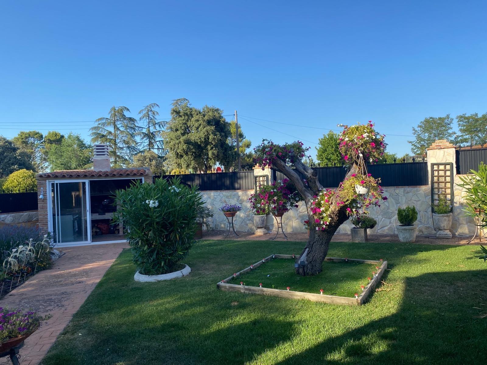 Casas o chalets-Venta-Nuevo BaztÃ¡n-2421389-Foto-21