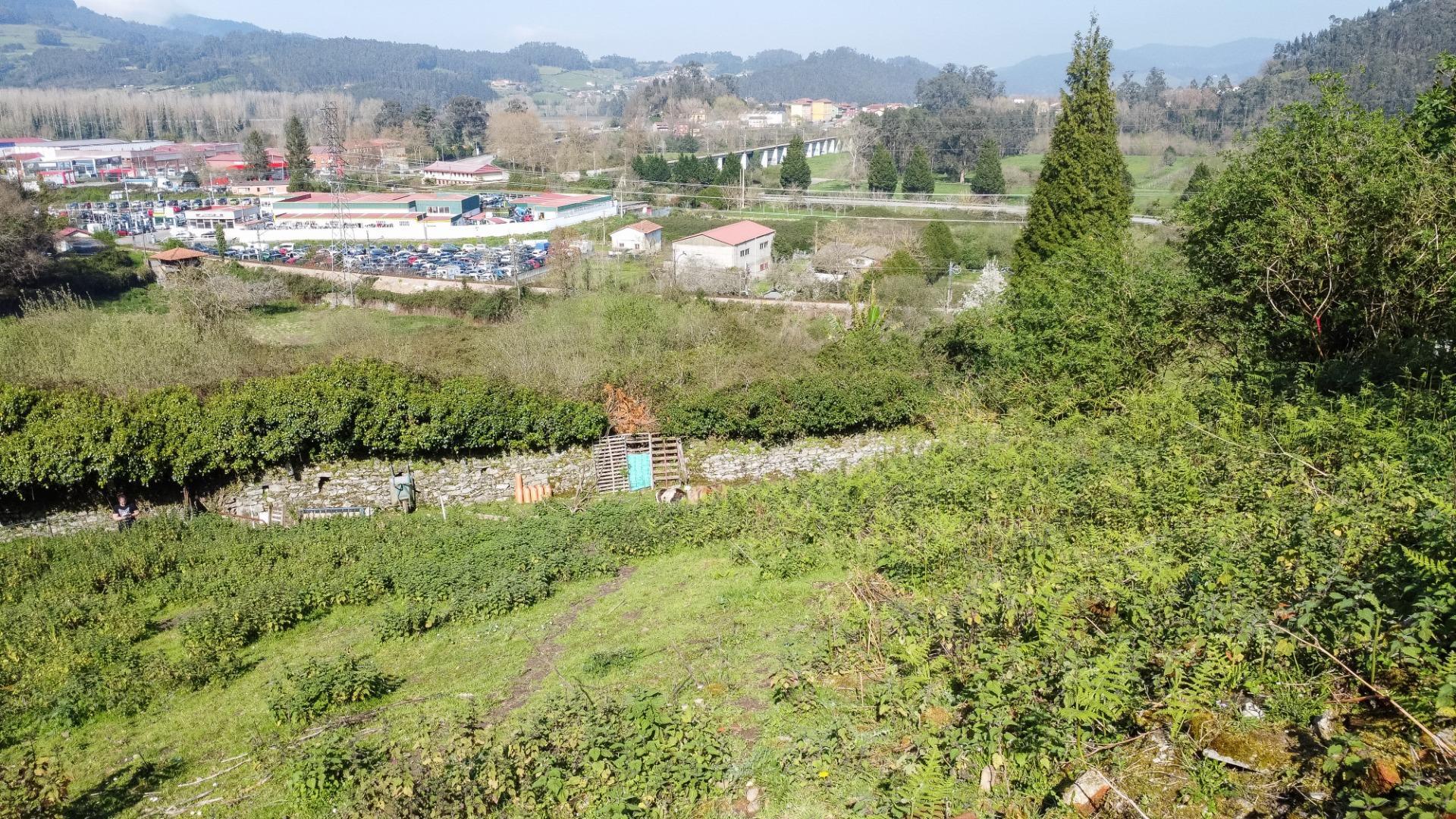 Fincas y solares-Venta-Pravia-2202117-Foto-9