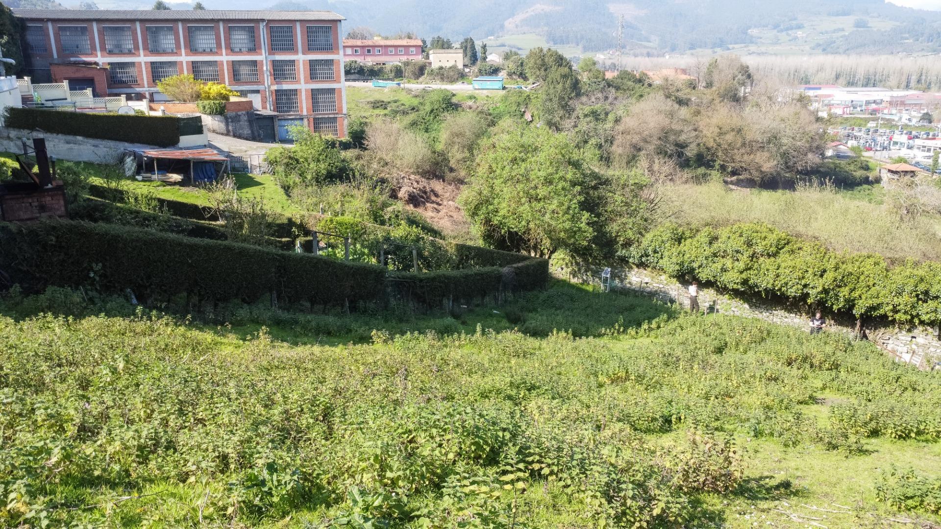 Fincas y solares-Venta-Pravia-2202117-Foto-8