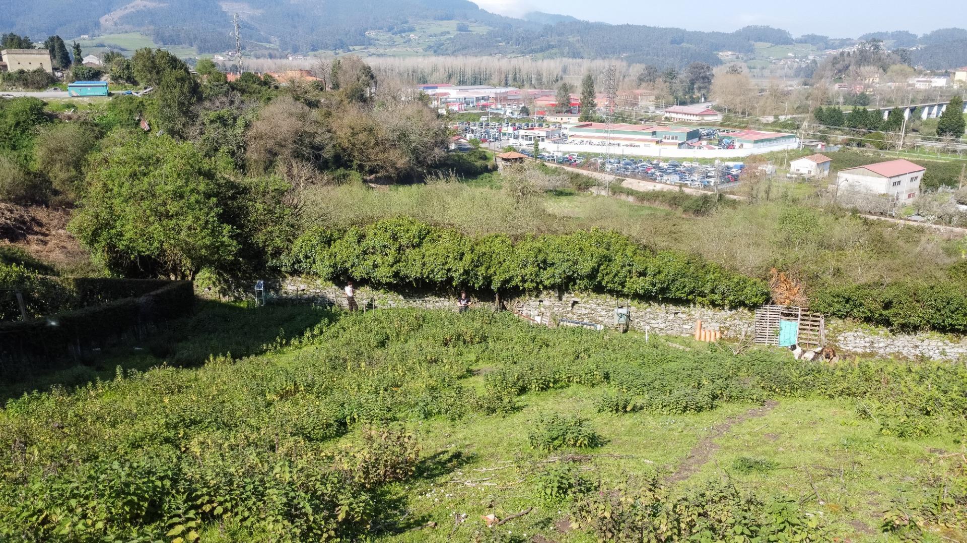 Fincas y solares-Venta-Pravia-2202117-Foto-7