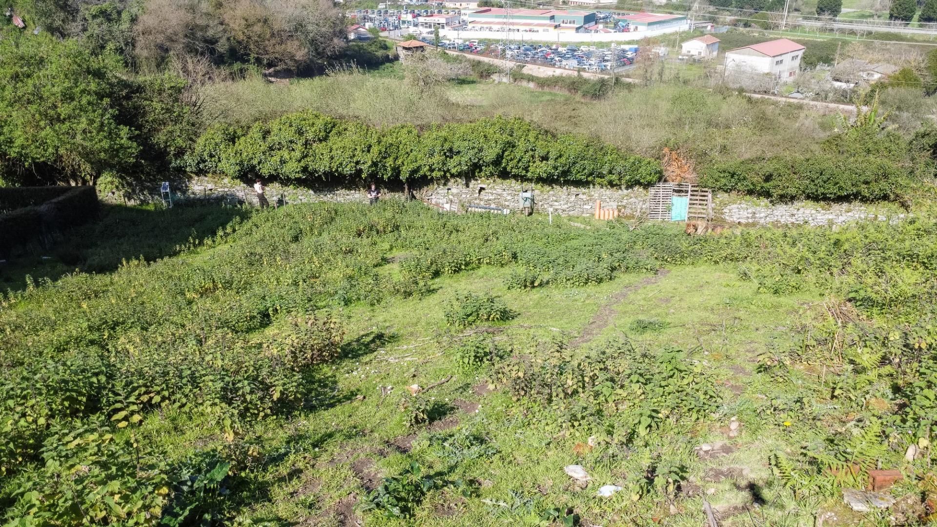 Fincas y solares-Venta-Pravia-2202117-Foto-6