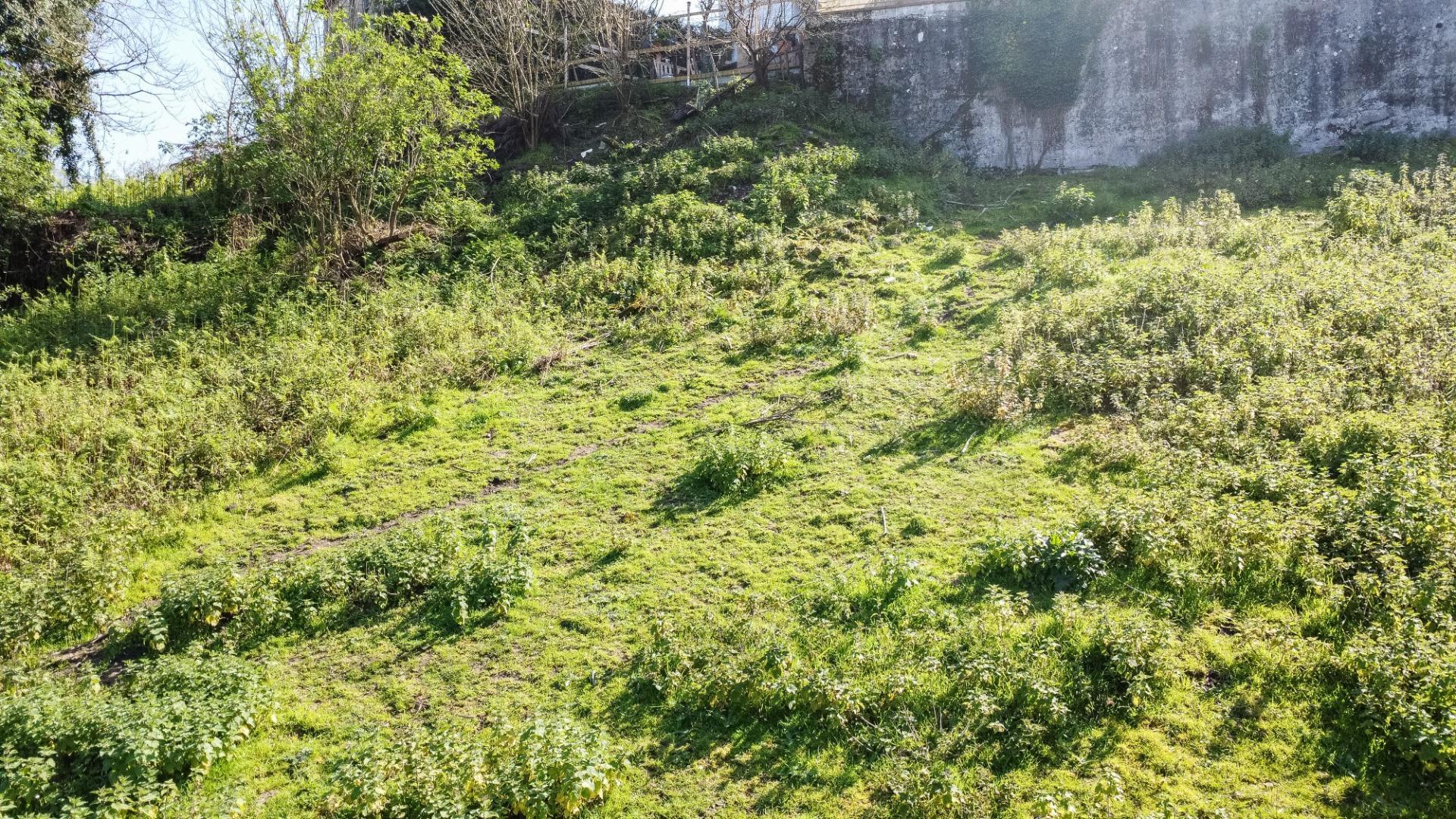 Fincas y solares-Venta-Pravia-2202117-Foto-12