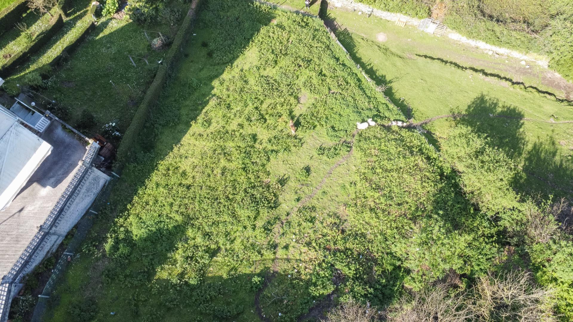 Fincas y solares-Venta-Pravia-2202117-Foto-13