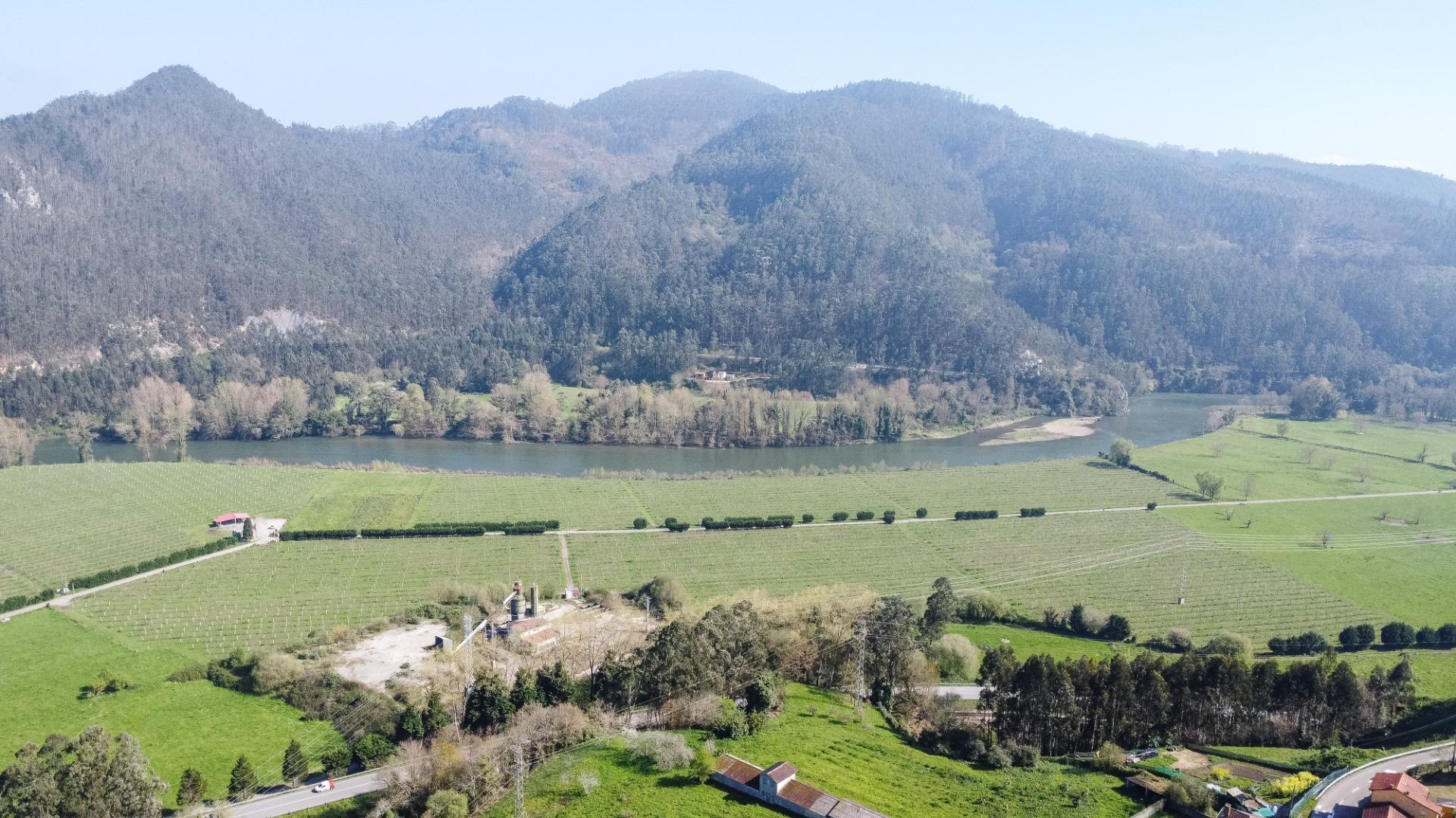 Fincas y solares-Venta-Pravia-2202117-Foto-19