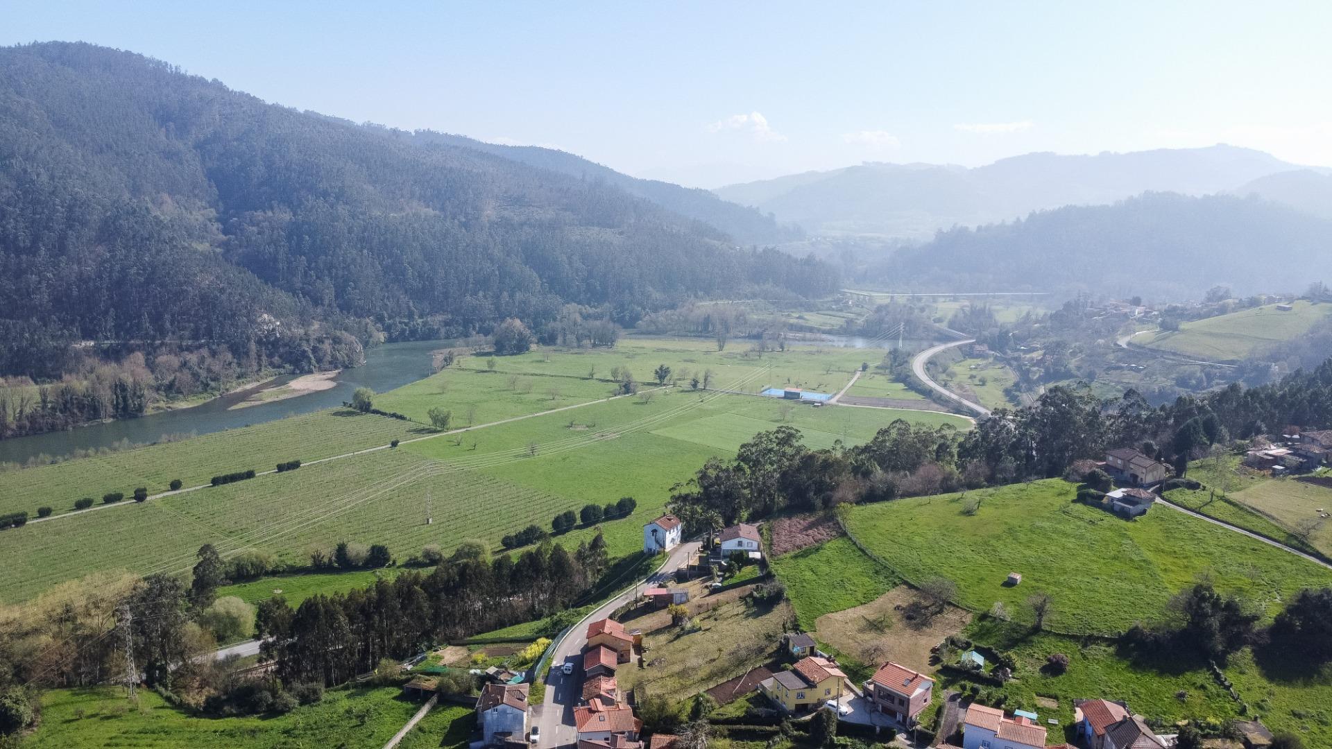 Fincas y solares-Venta-Pravia-2202117-Foto-16