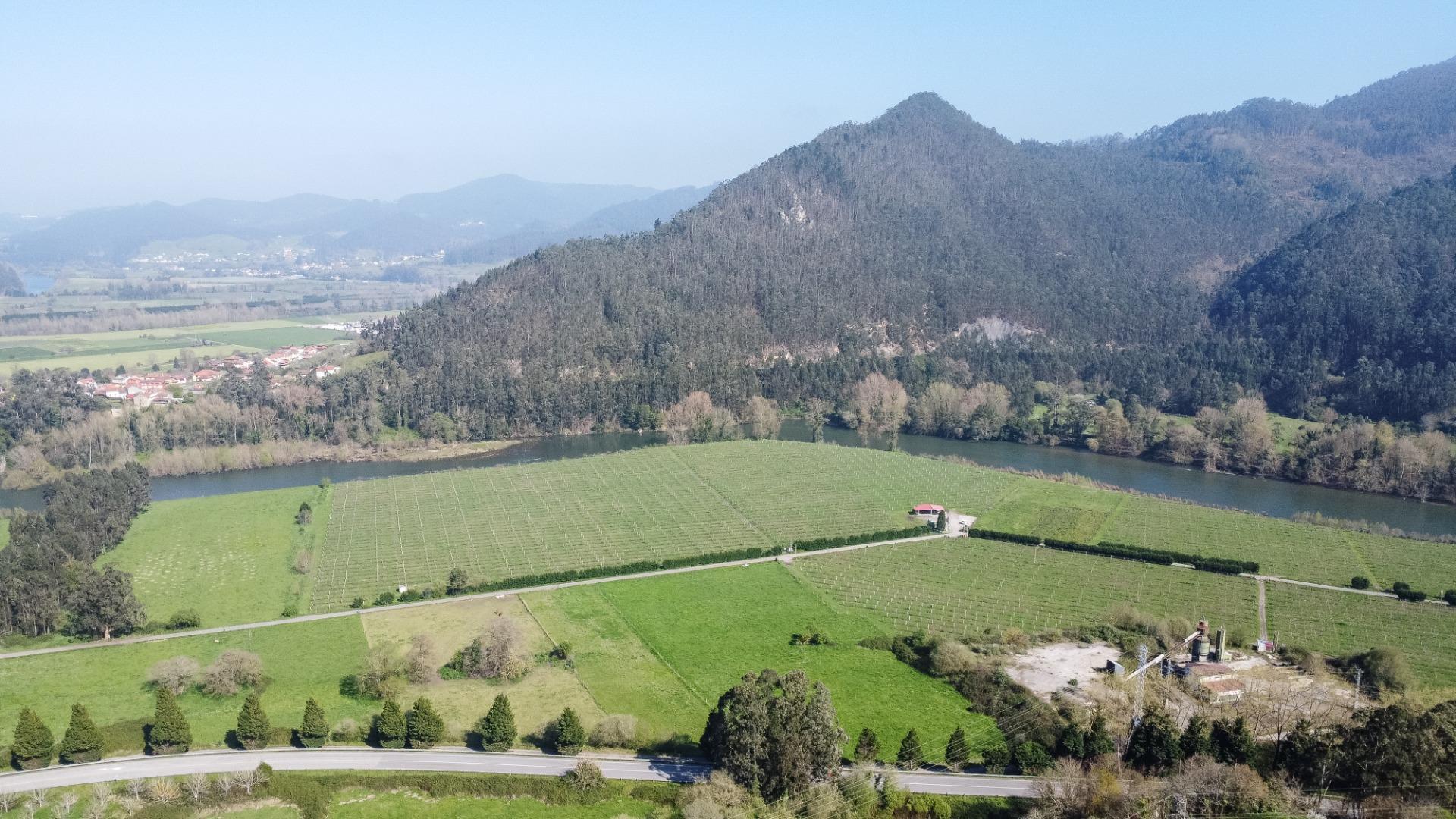 Fincas y solares-Venta-Pravia-2202117-Foto-17