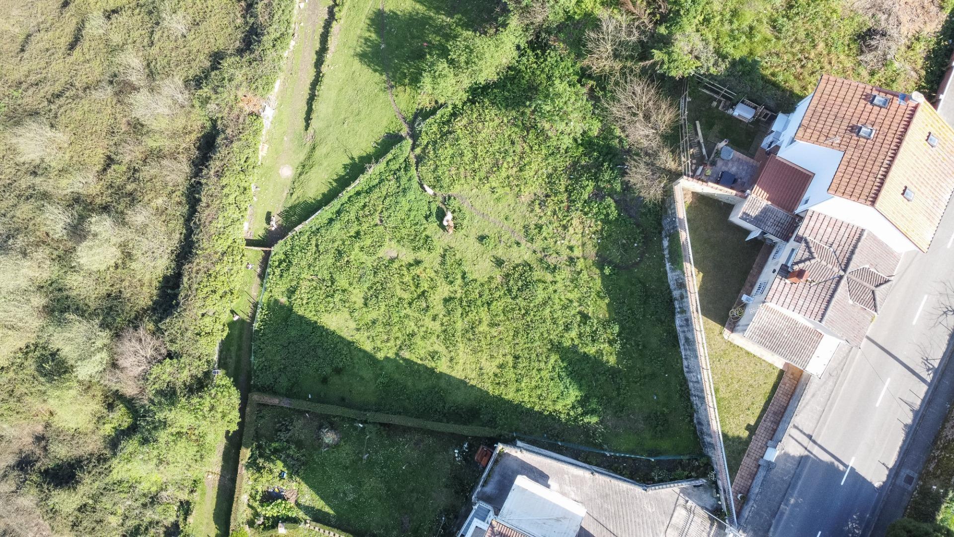 Fincas y solares-Venta-Pravia-2202117-Foto-20