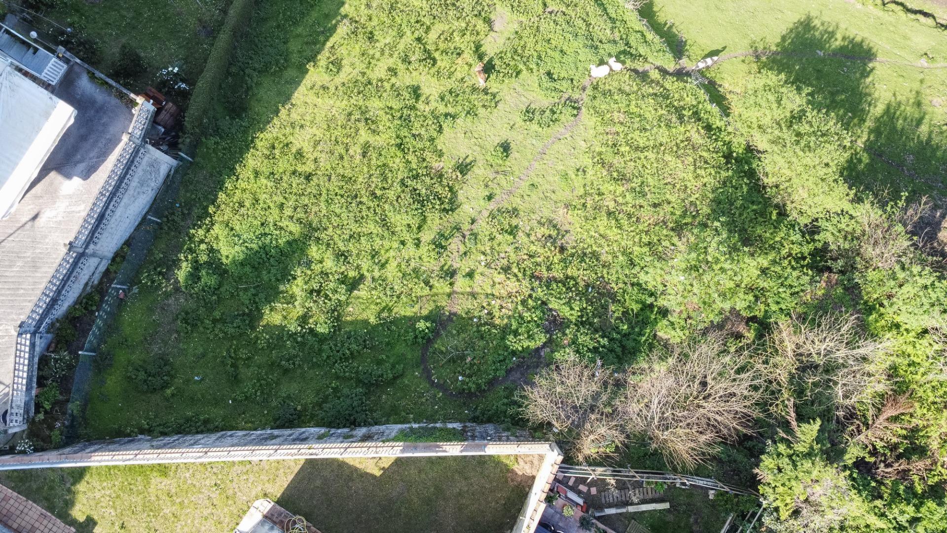 Fincas y solares-Venta-Pravia-2202117-Foto-23