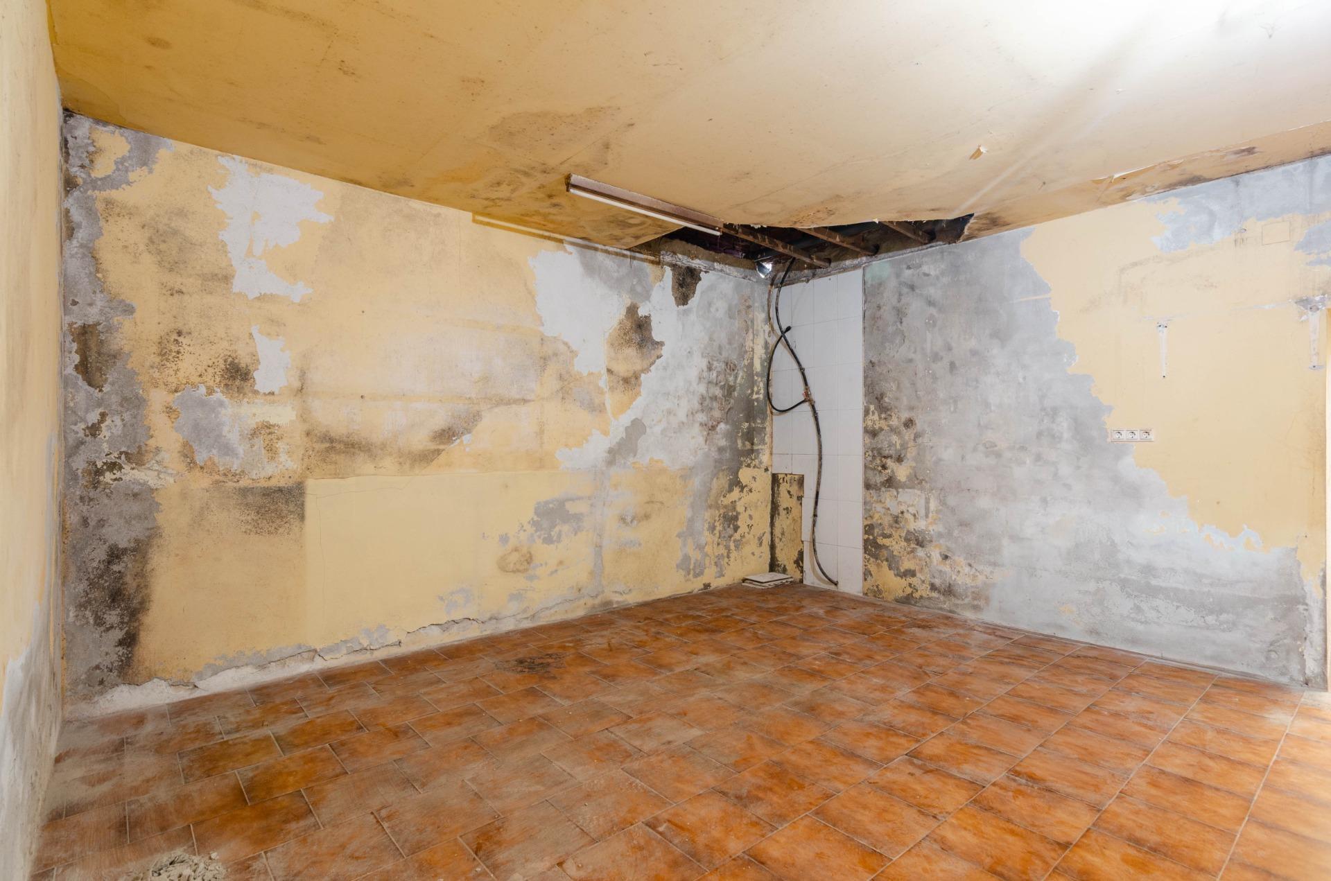 Negocios-Venta-Salas-2063634-Foto-22
