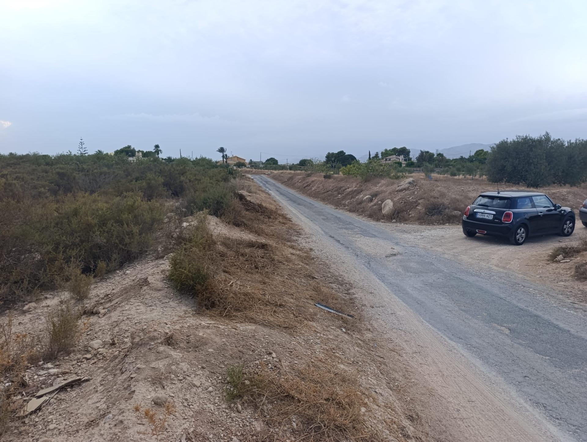 Fincas y solares-Alquiler-Elche-2420762-Foto-4