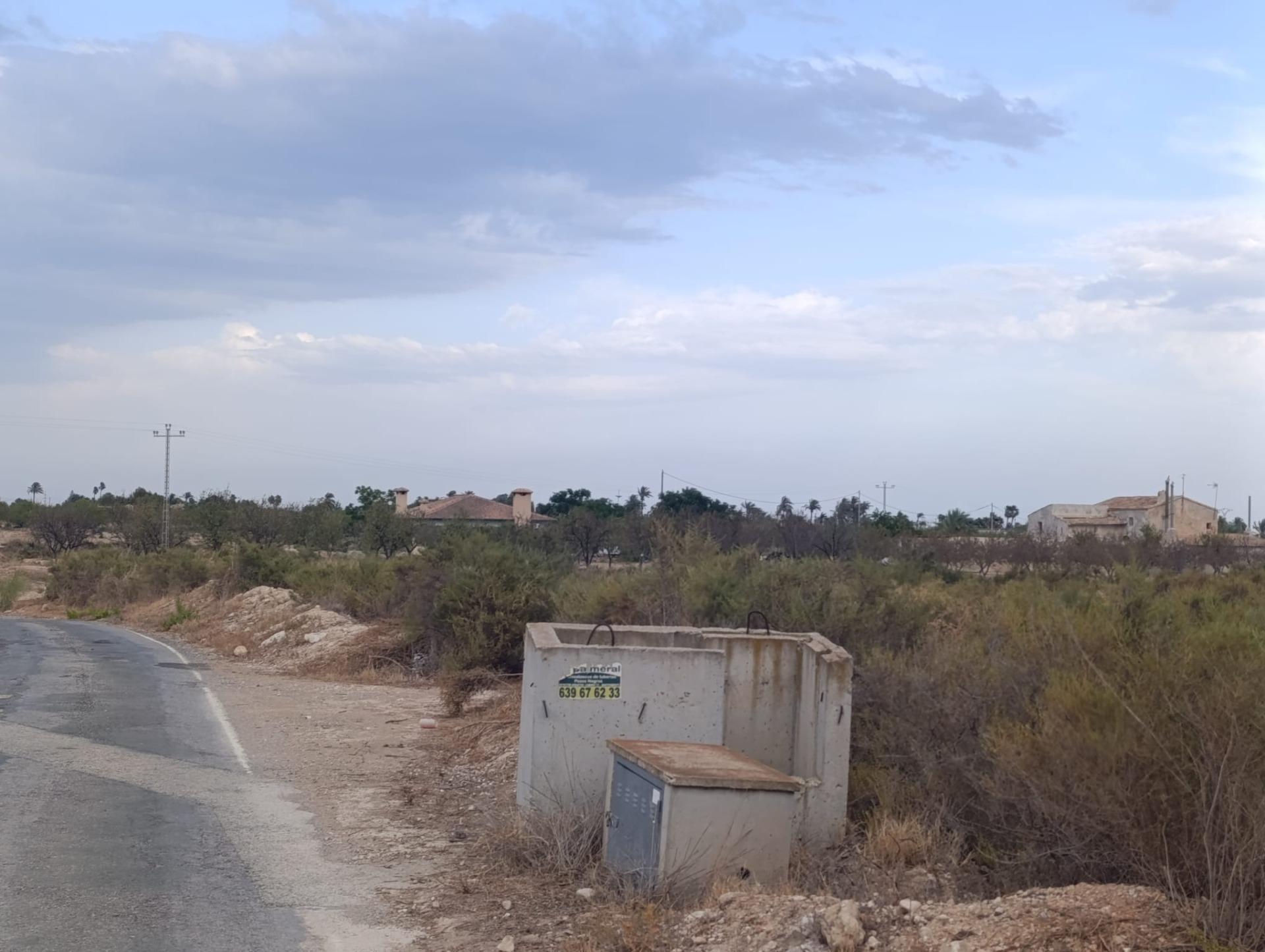 Fincas y solares-Alquiler-Elche-2420762-Foto-3